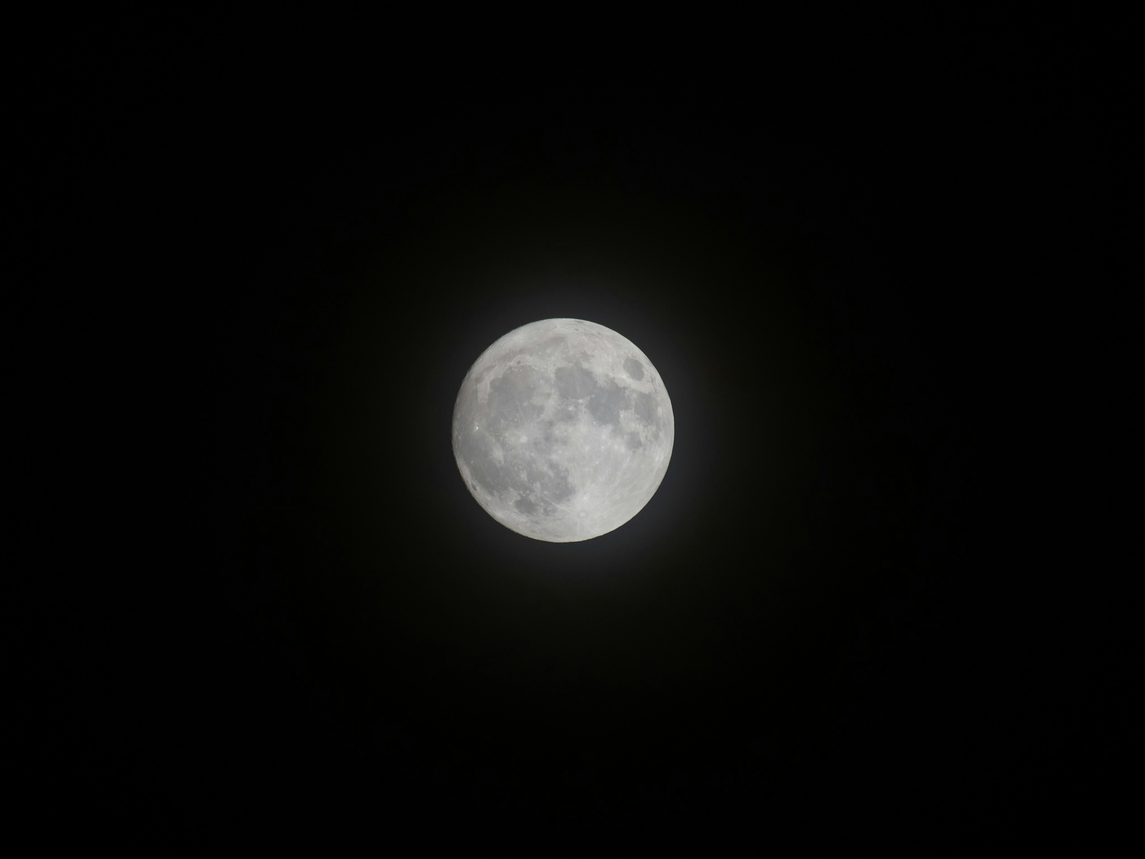 Bulan purnama yang cerah di langit malam