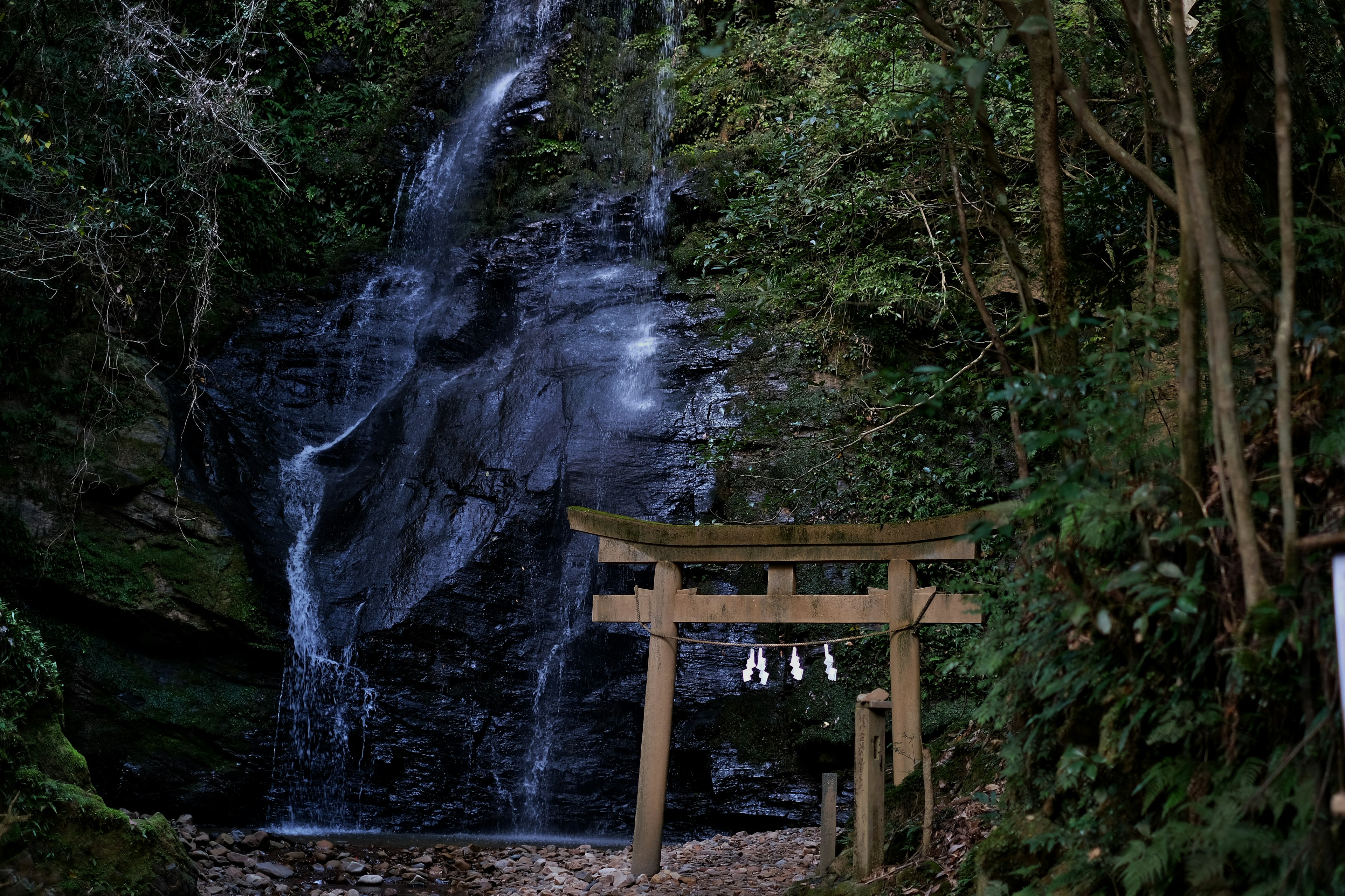 Scena forestale lussureggiante con una cascata e un torii