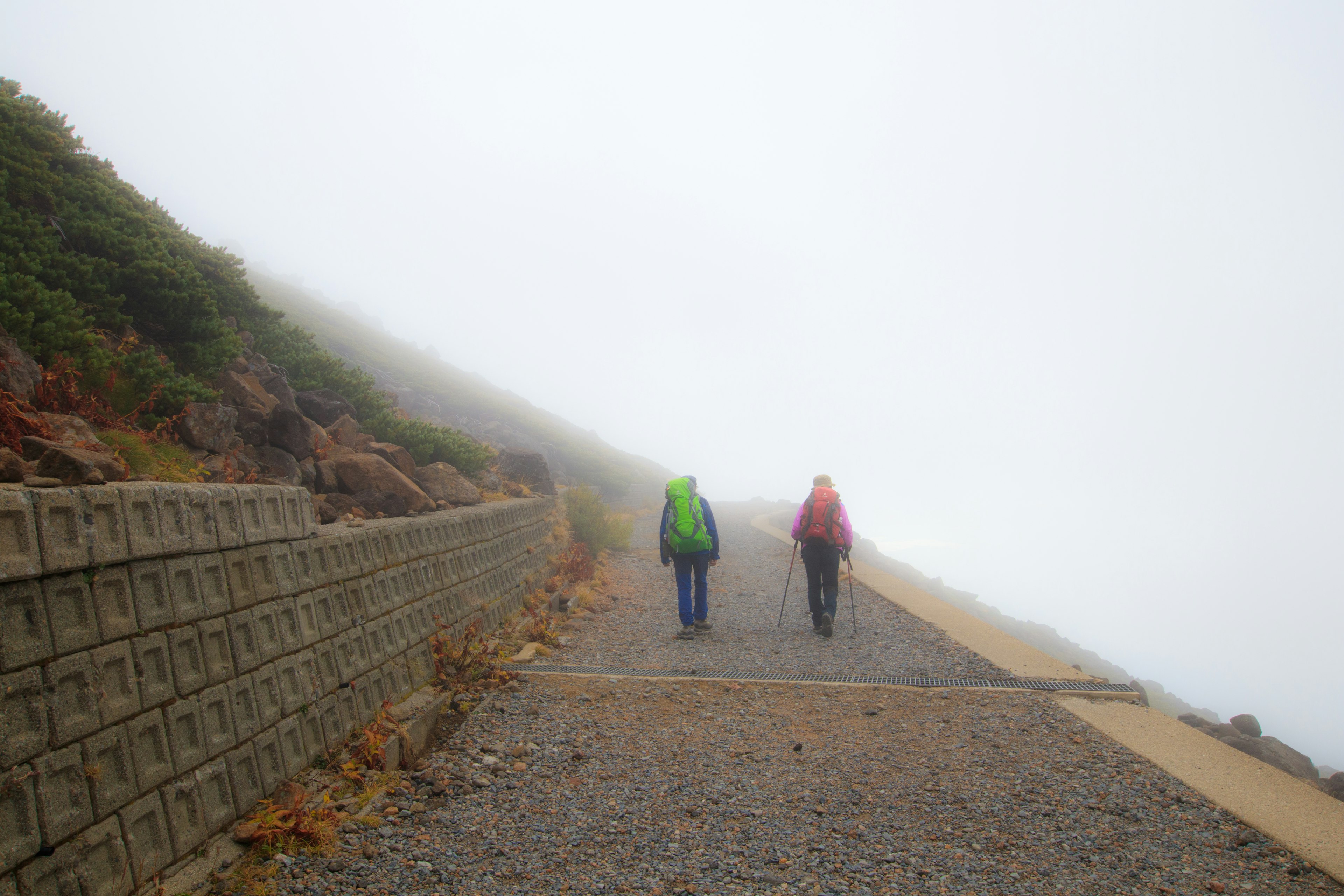 Dos excursionistas caminando en la niebla con impermeables verde y rojo