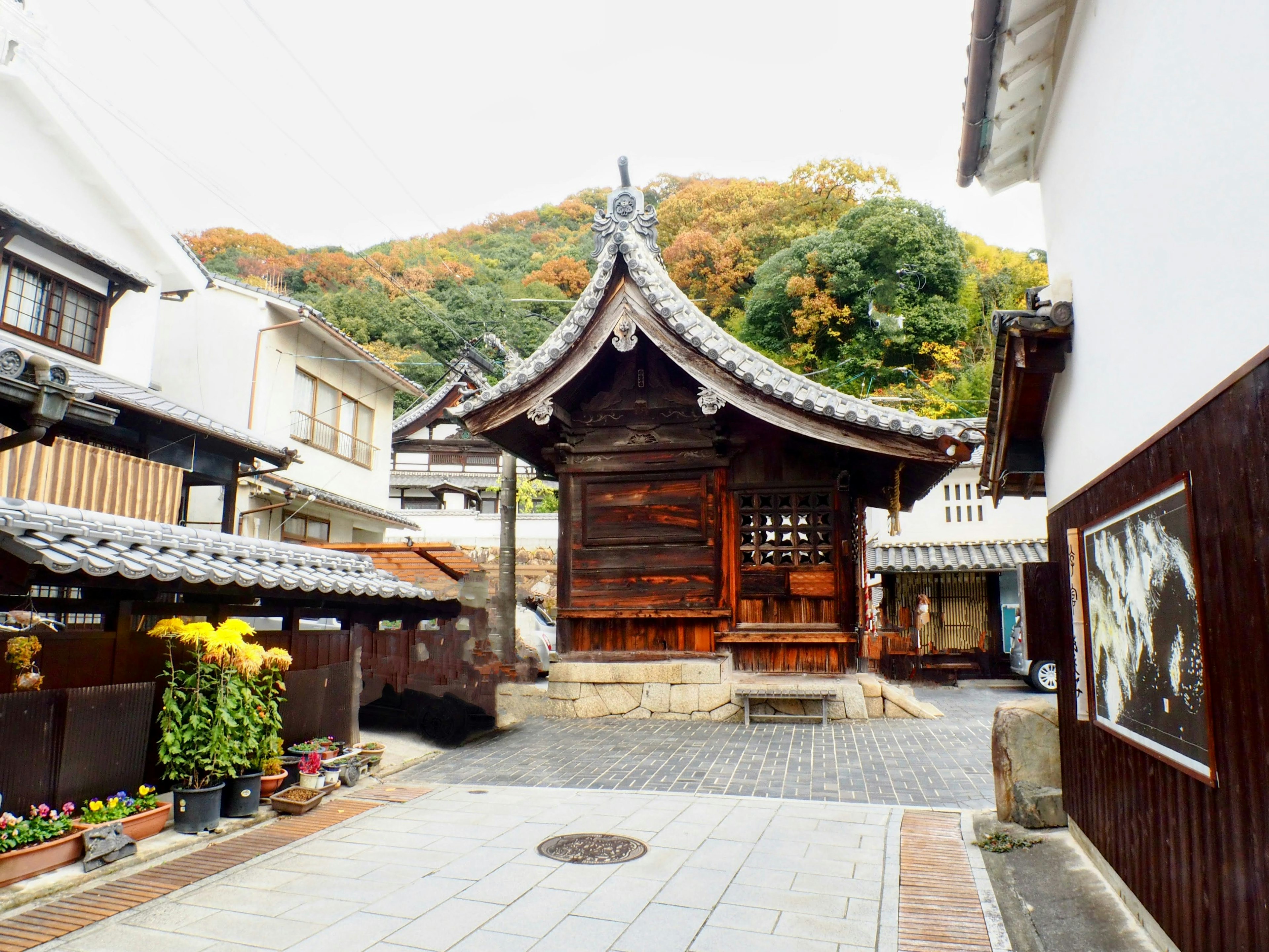 A serene street view featuring a small wooden structure