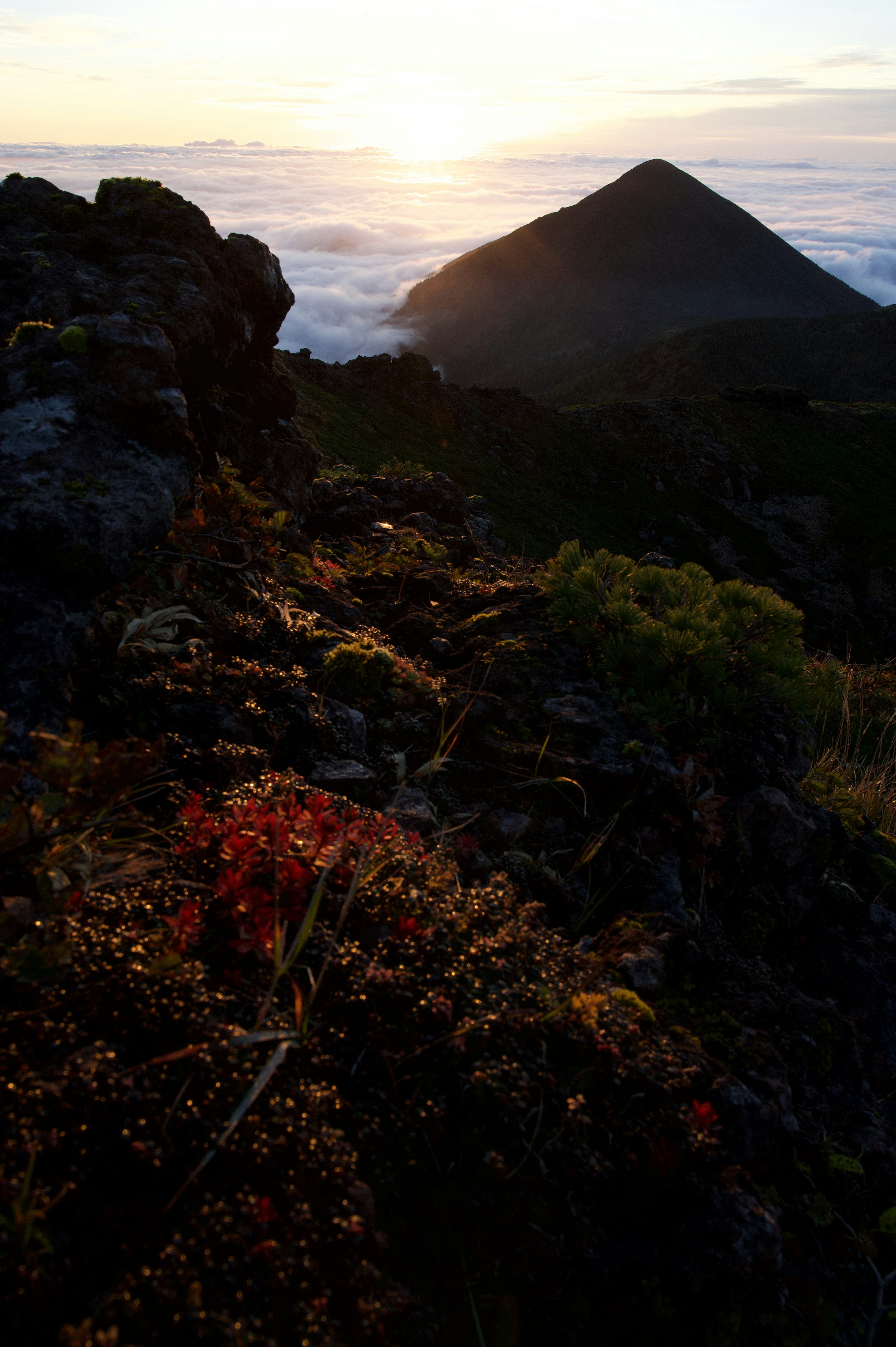 美しい夕日が雲海の上に沈む山の風景