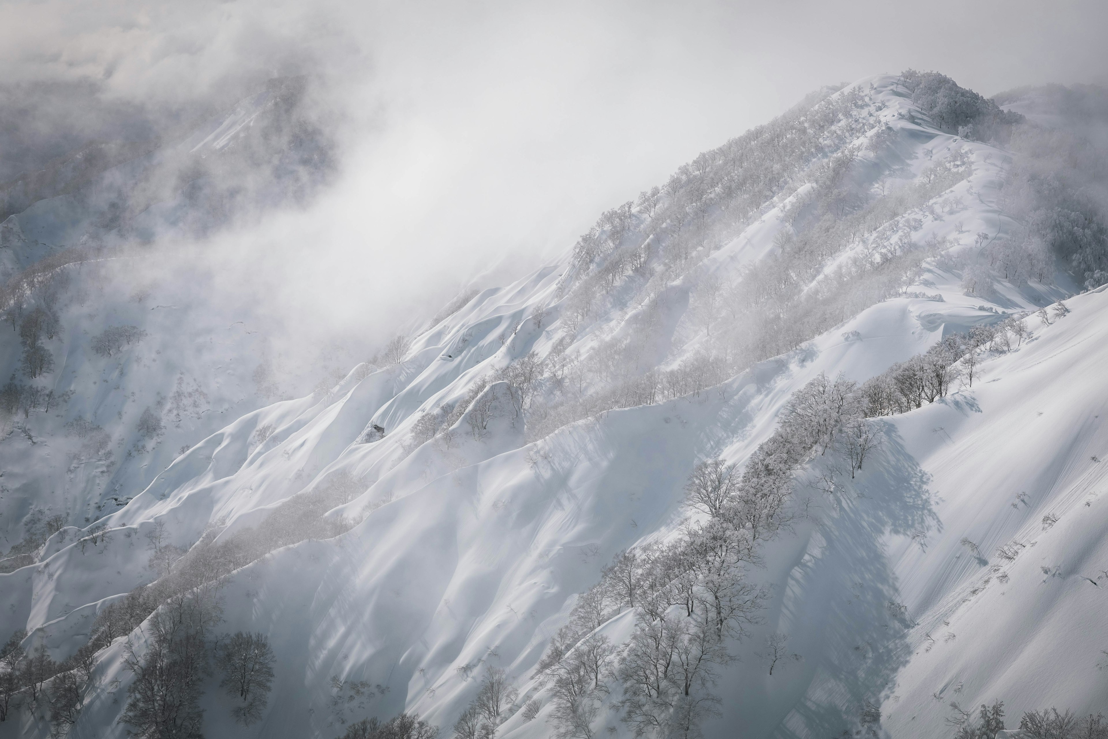 Paisaje montañoso cubierto de nieve con niebla etérea