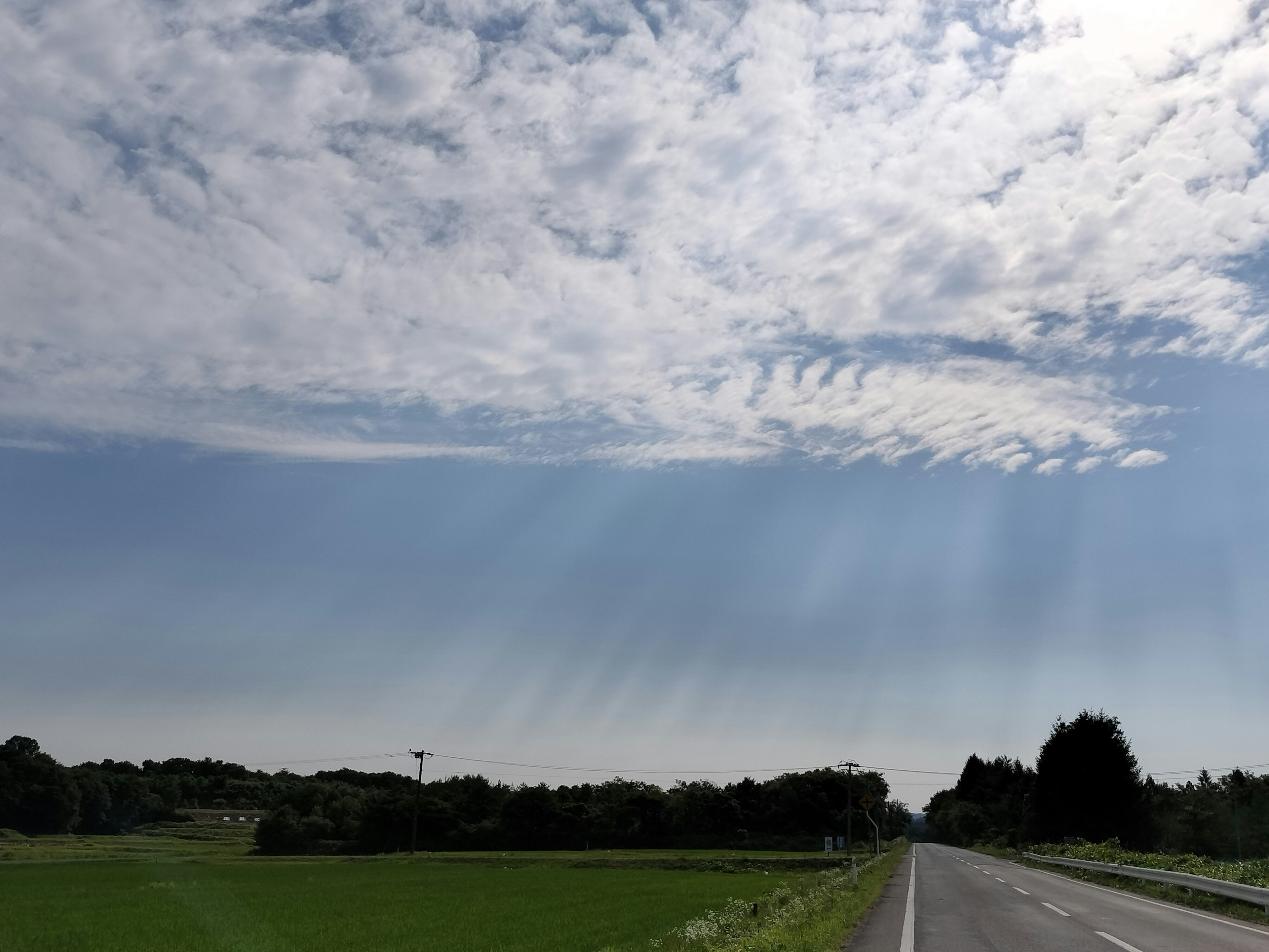 青空と雲の広がる風景 道路と緑の田畑のある風景