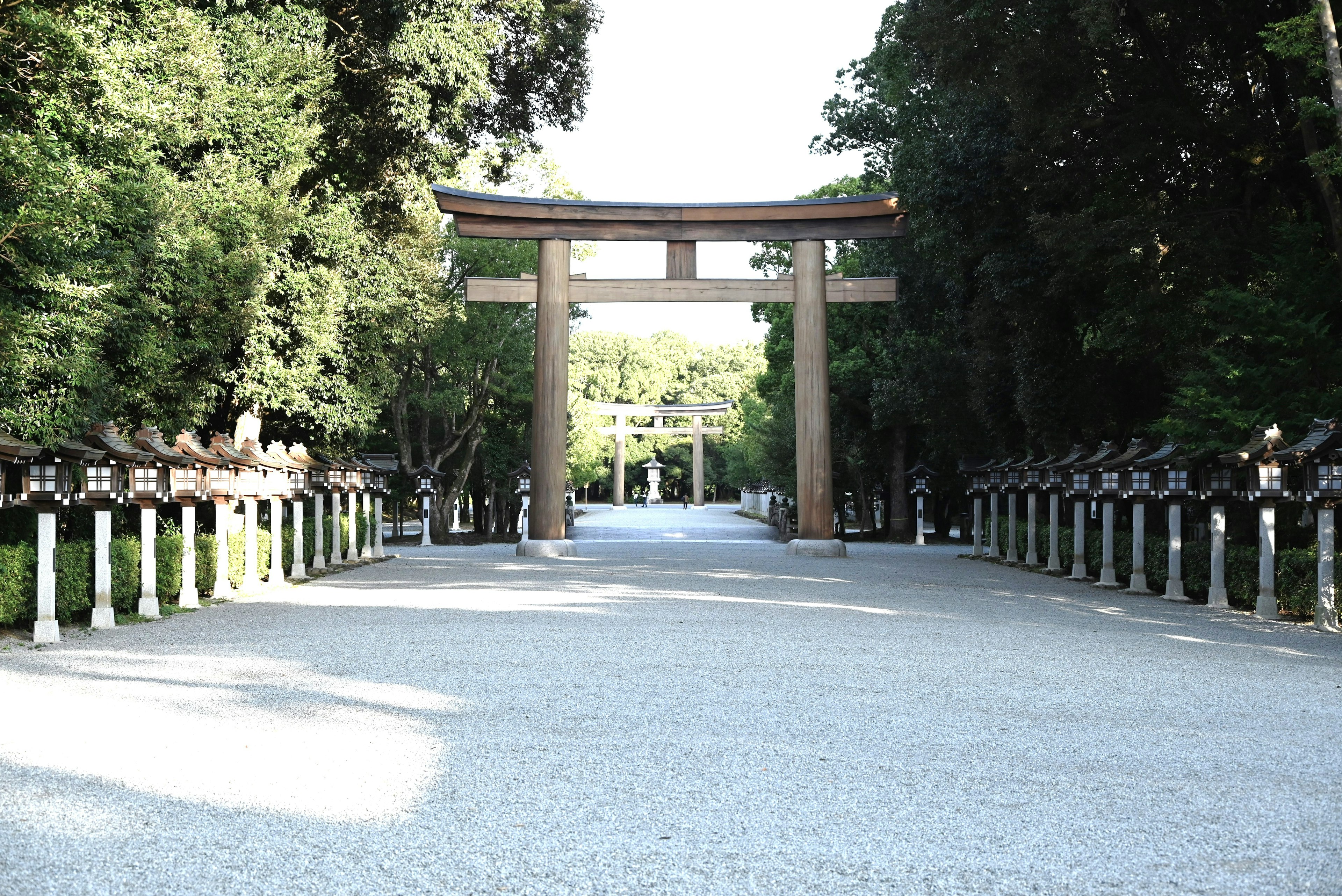 Con đường dẫn đến cổng torii lớn được bao quanh bởi cây cối xanh tươi và đèn đá