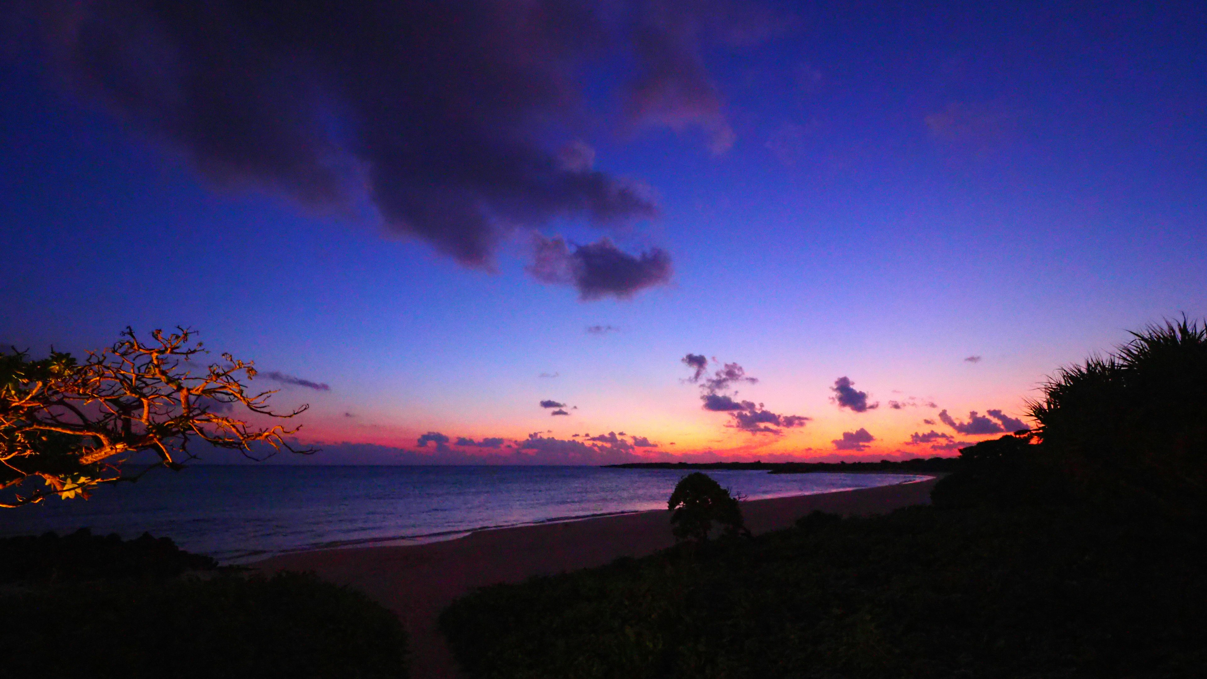 Schöne Strandlandschaft bei Sonnenuntergang mit lila und orangefarbenem Himmel ruhige Wellen üppiges Grün