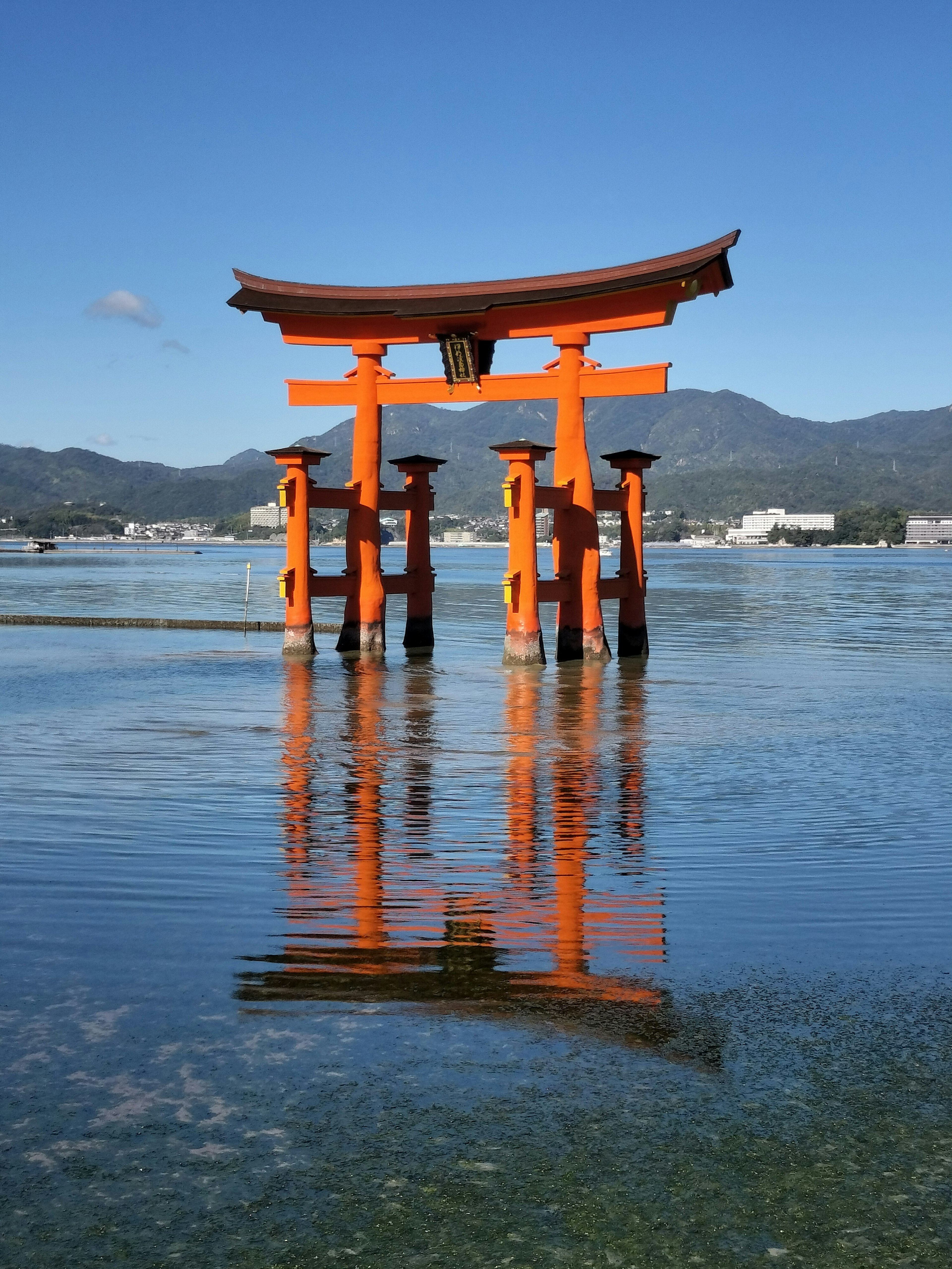 Una foto de la icónica puerta Torii del Santuario de Itsukushima en aguas tranquilas bajo un cielo azul claro