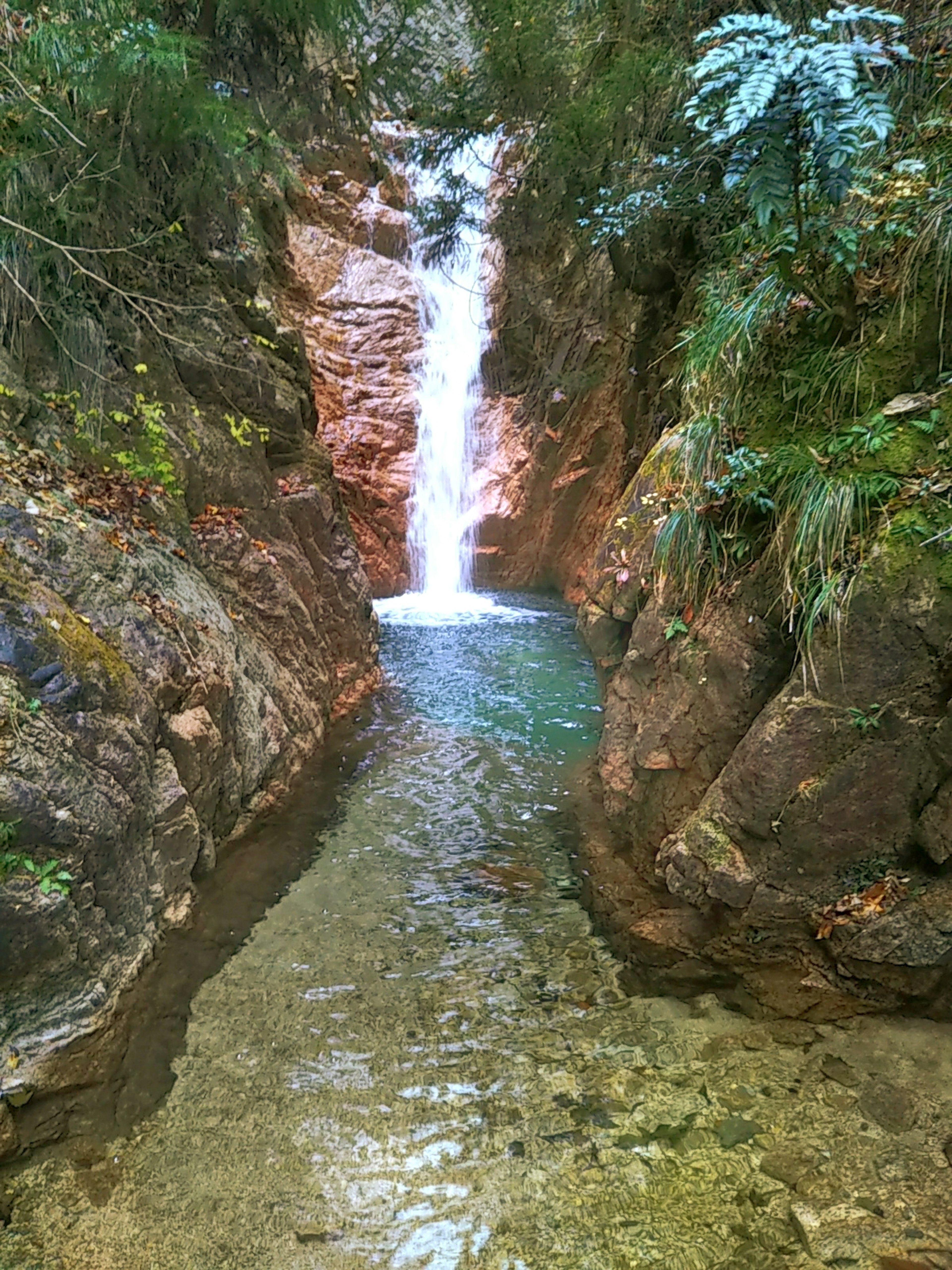 Pemandangan indah dari air terjun kecil yang mengalir ke kolam jernih dikelilingi oleh vegetasi subur