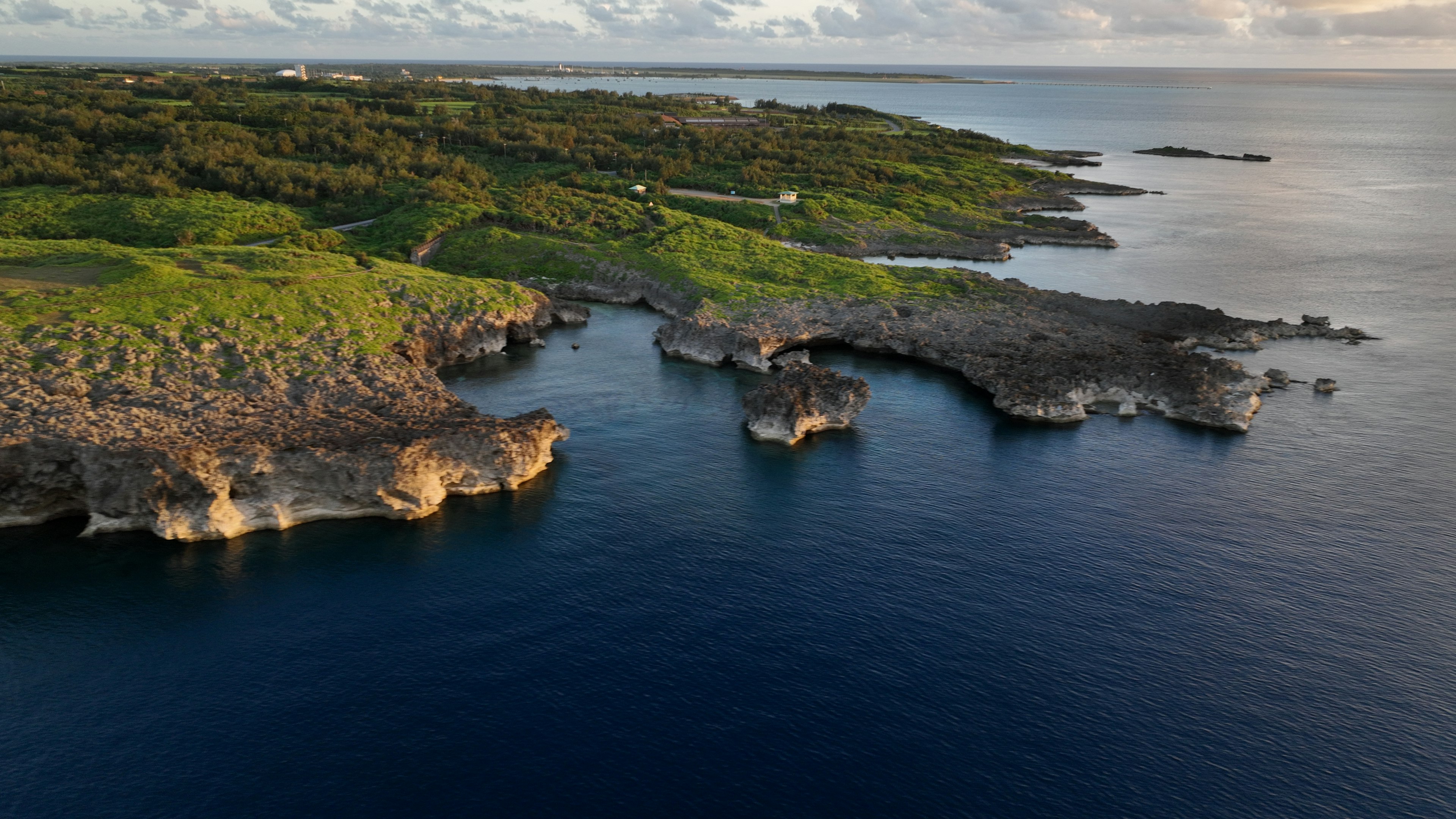 Lush green cliffs overlooking the ocean