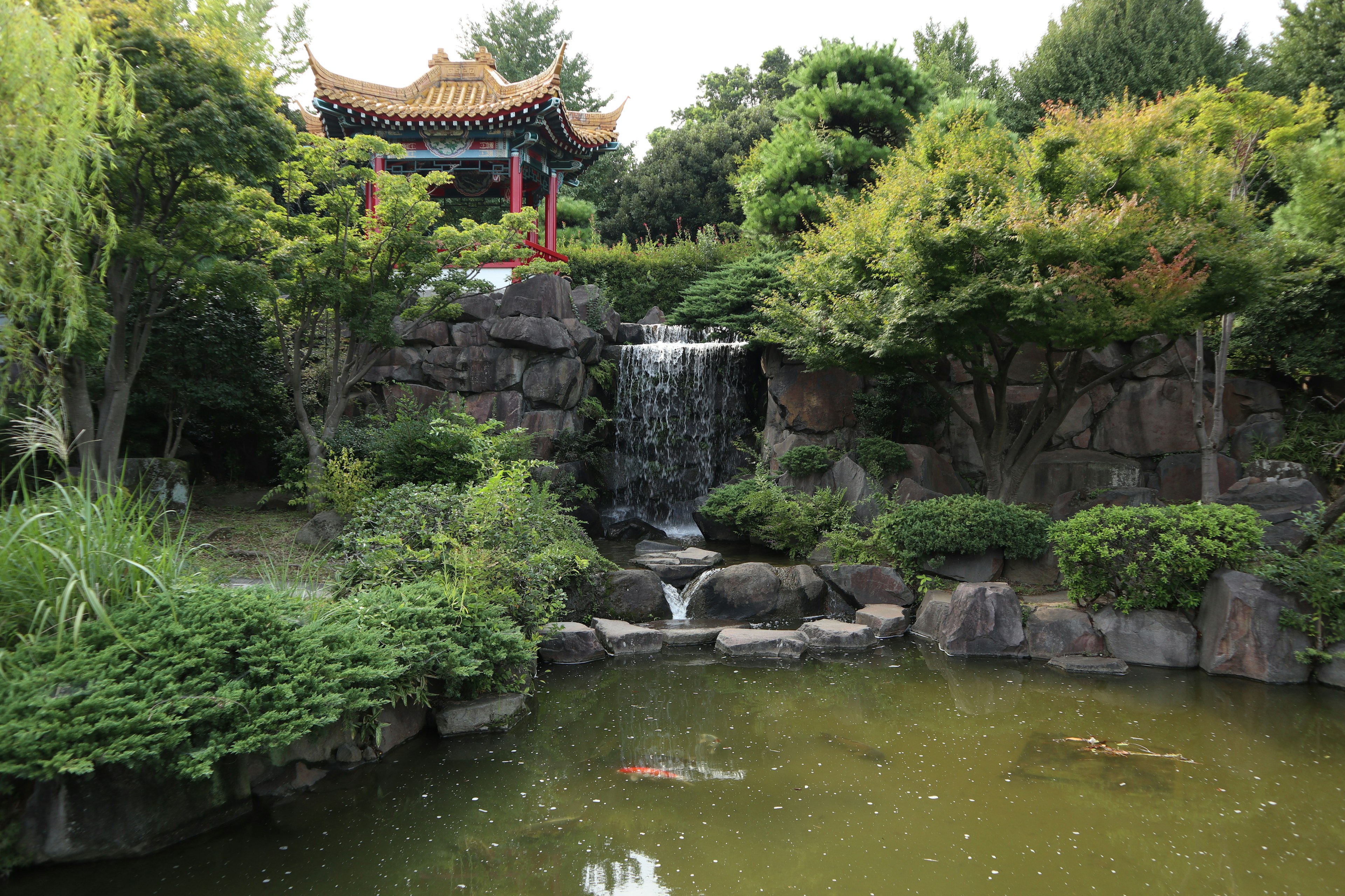 Schöner japanischer Garten mit Wasserfall und Teichszene