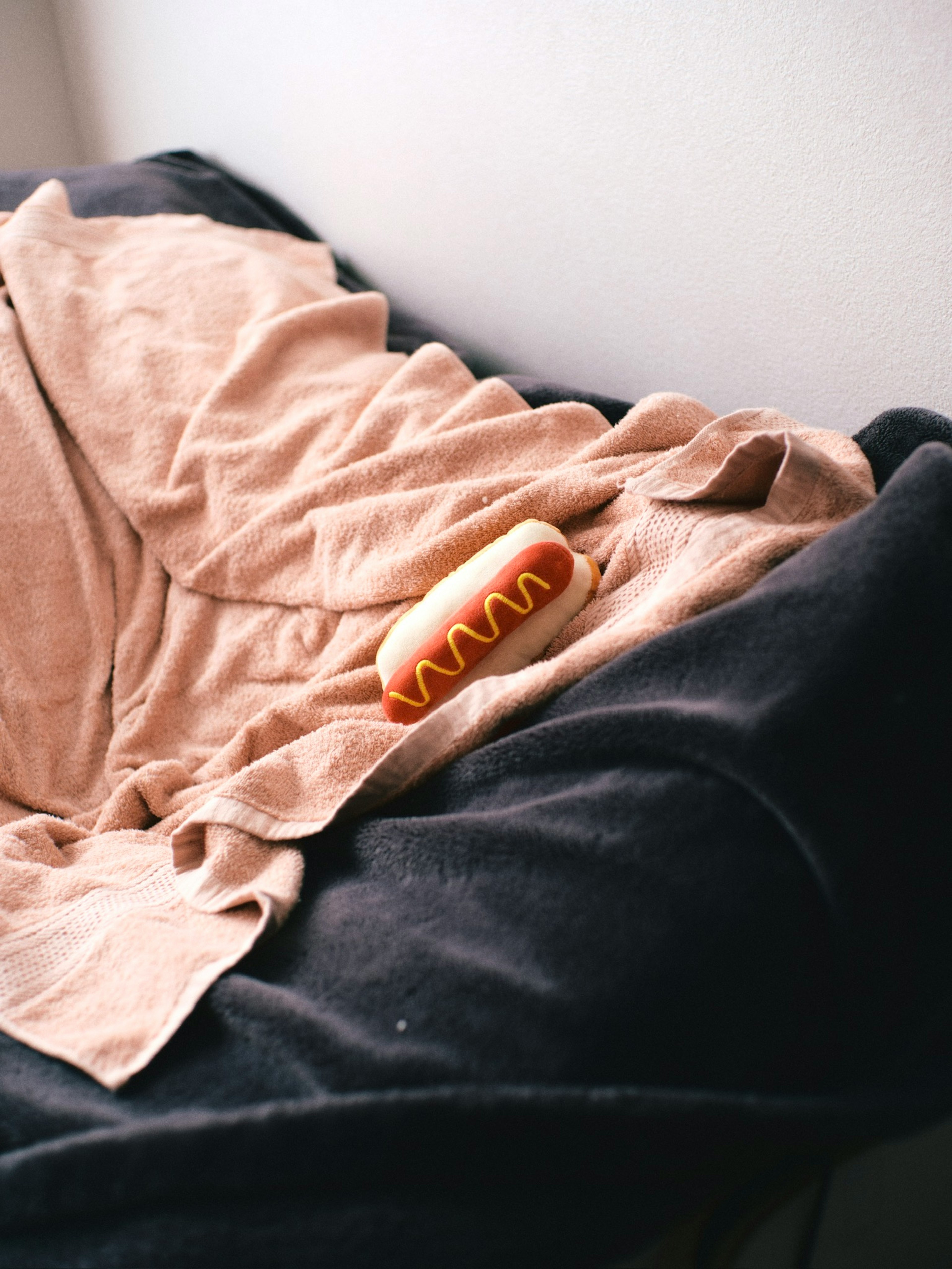 Un hot-dog posé sur une couverture beige sur un canapé