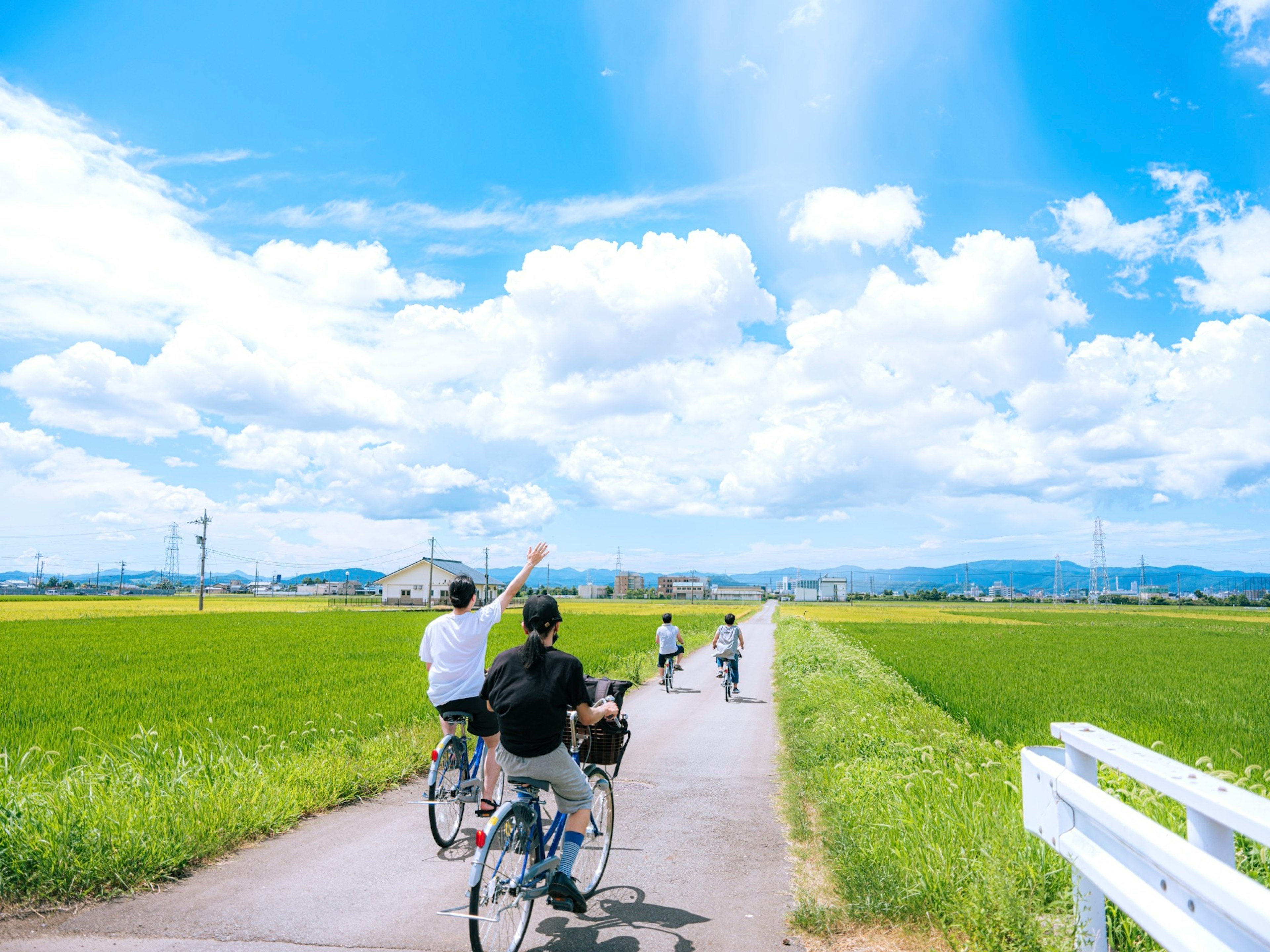 青空と白い雲の下で自転車に乗る人々の風景 緑の田んぼが広がる道