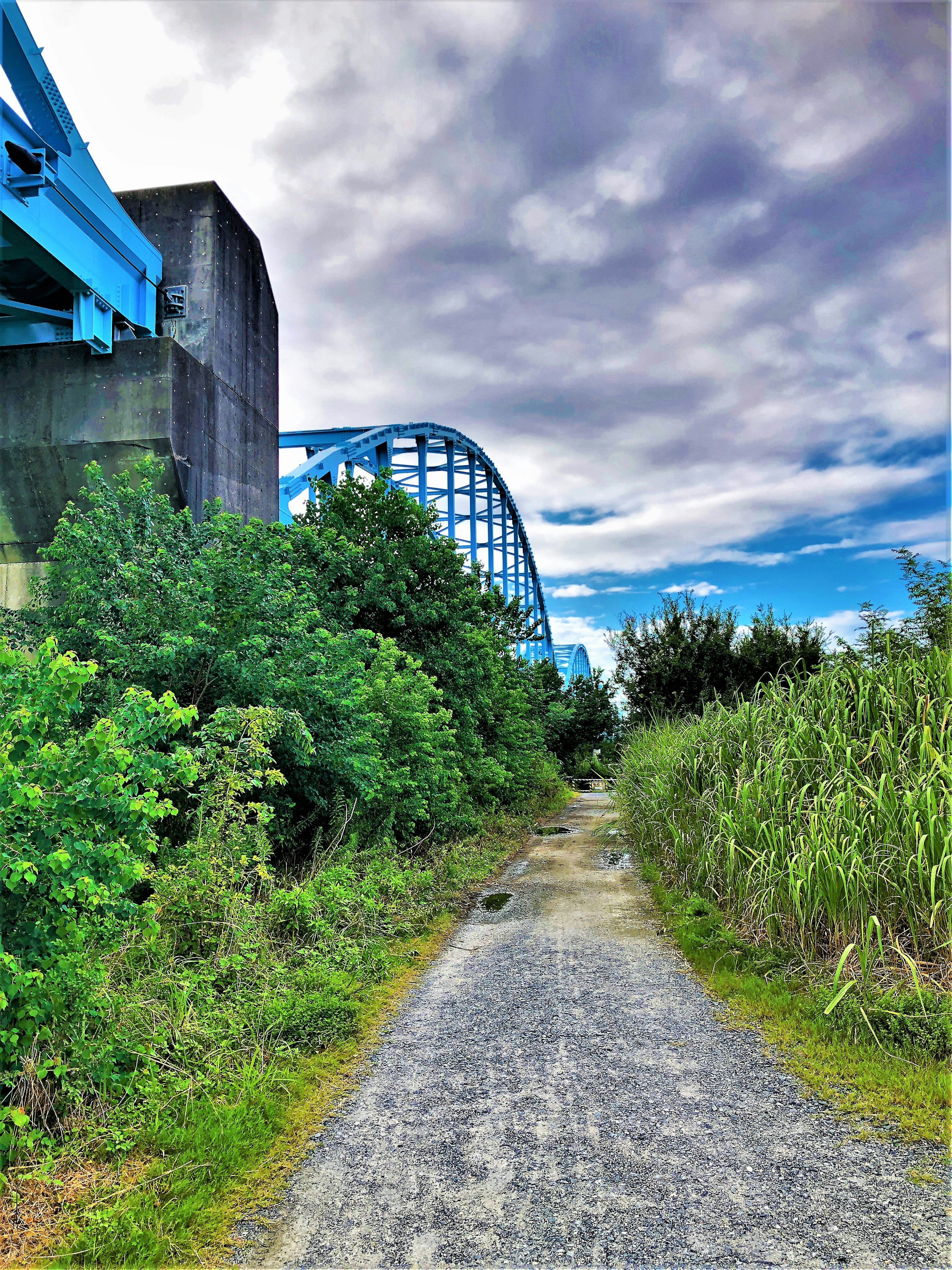 Chemin pittoresque avec un pont bleu et une végétation luxuriante