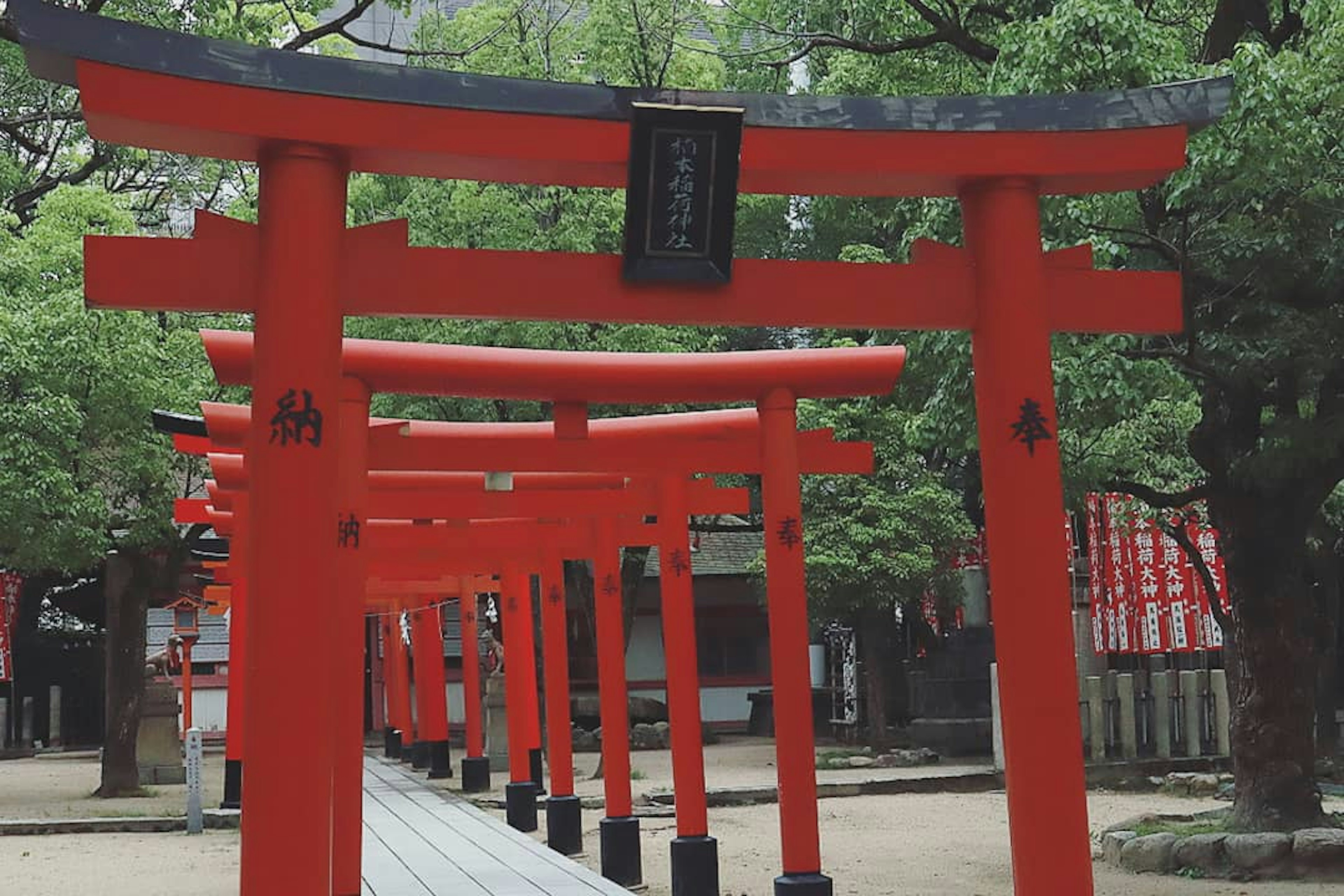 A scenic view of red torii gates at a shrine