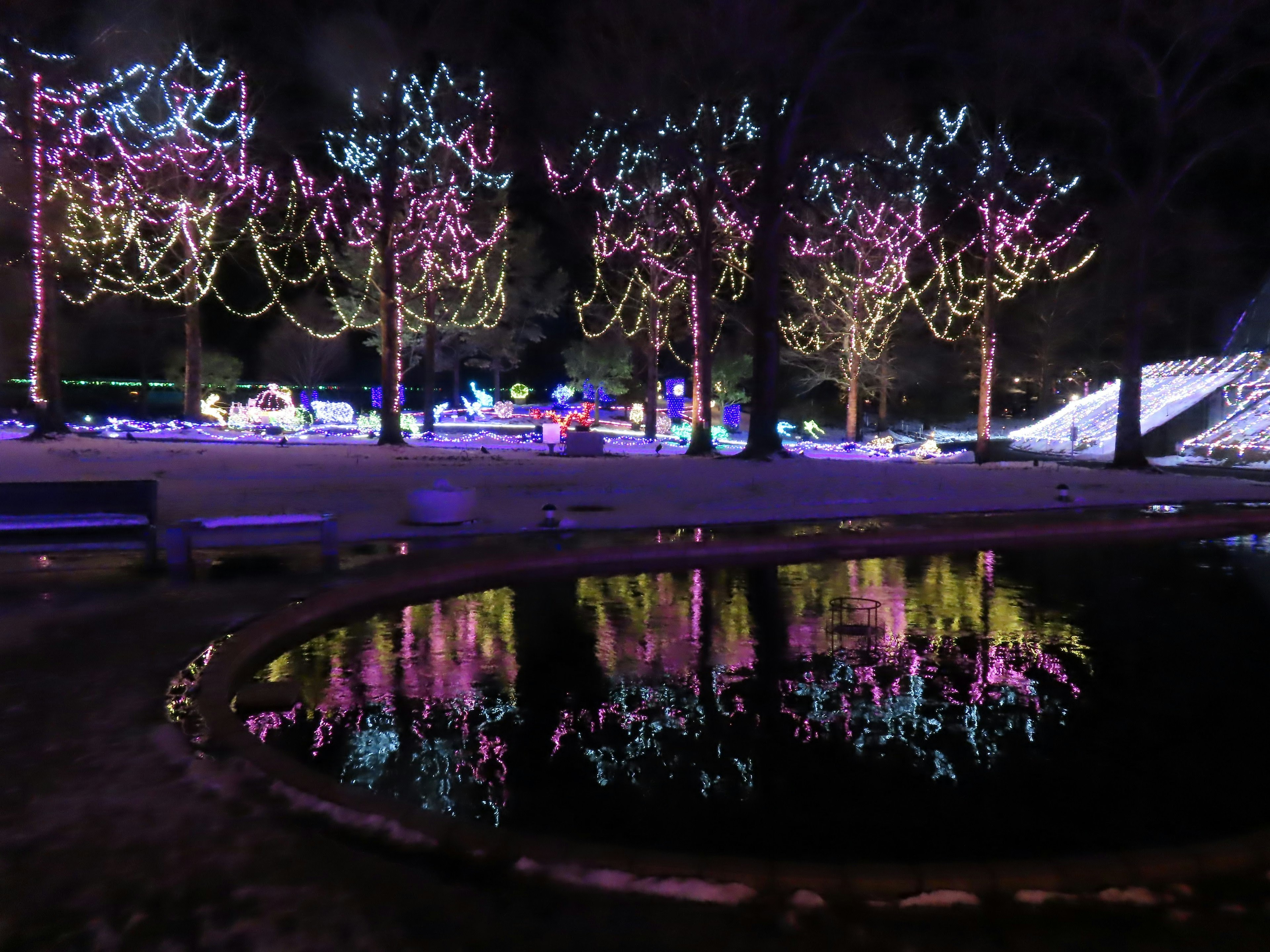 Parco notturno con alberi illuminati colorati che si riflettono nell'acqua