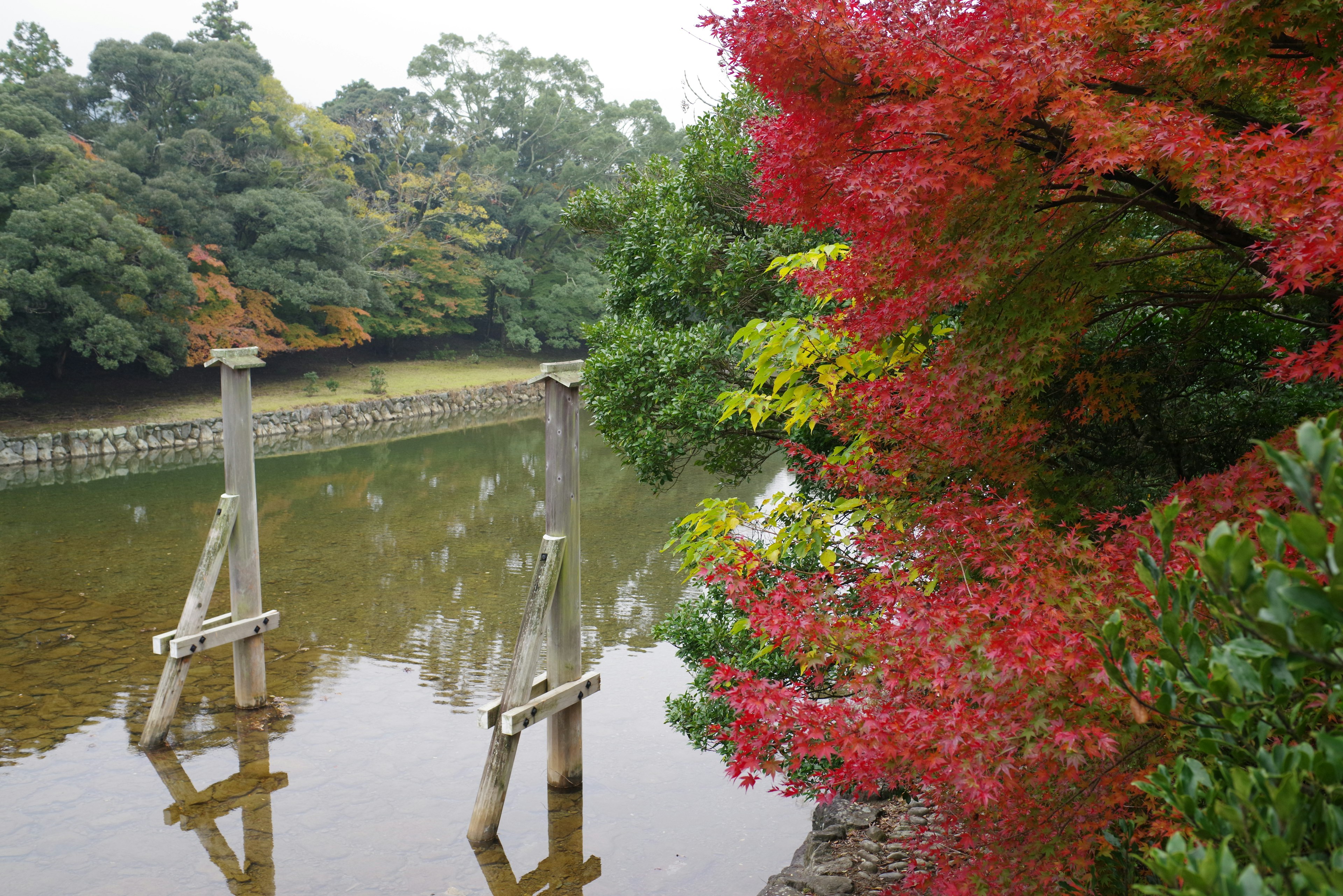 紅葉した木々と静かな水面の景色