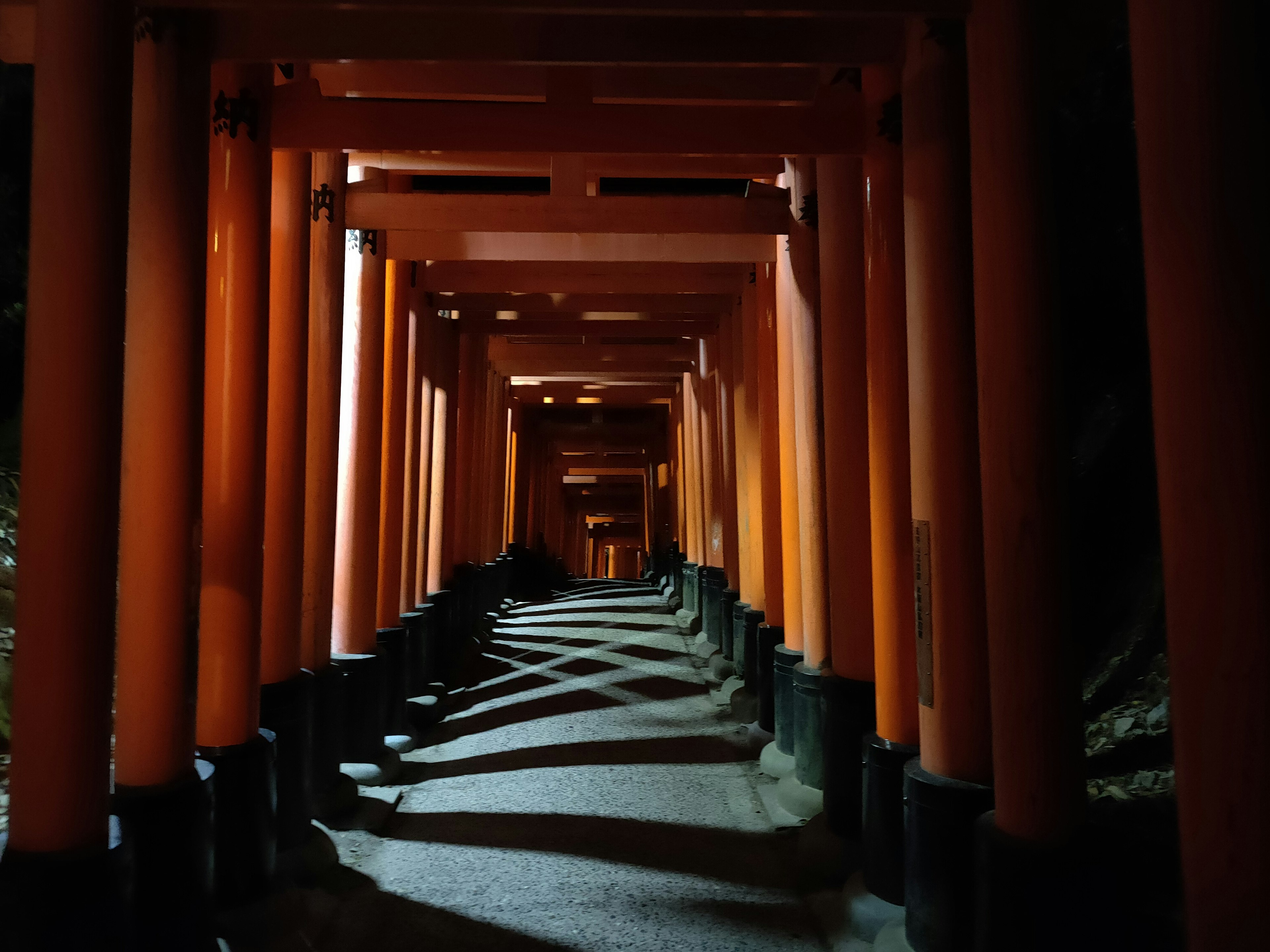 Pemandangan malam terowongan torii di Kuil Fushimi Inari