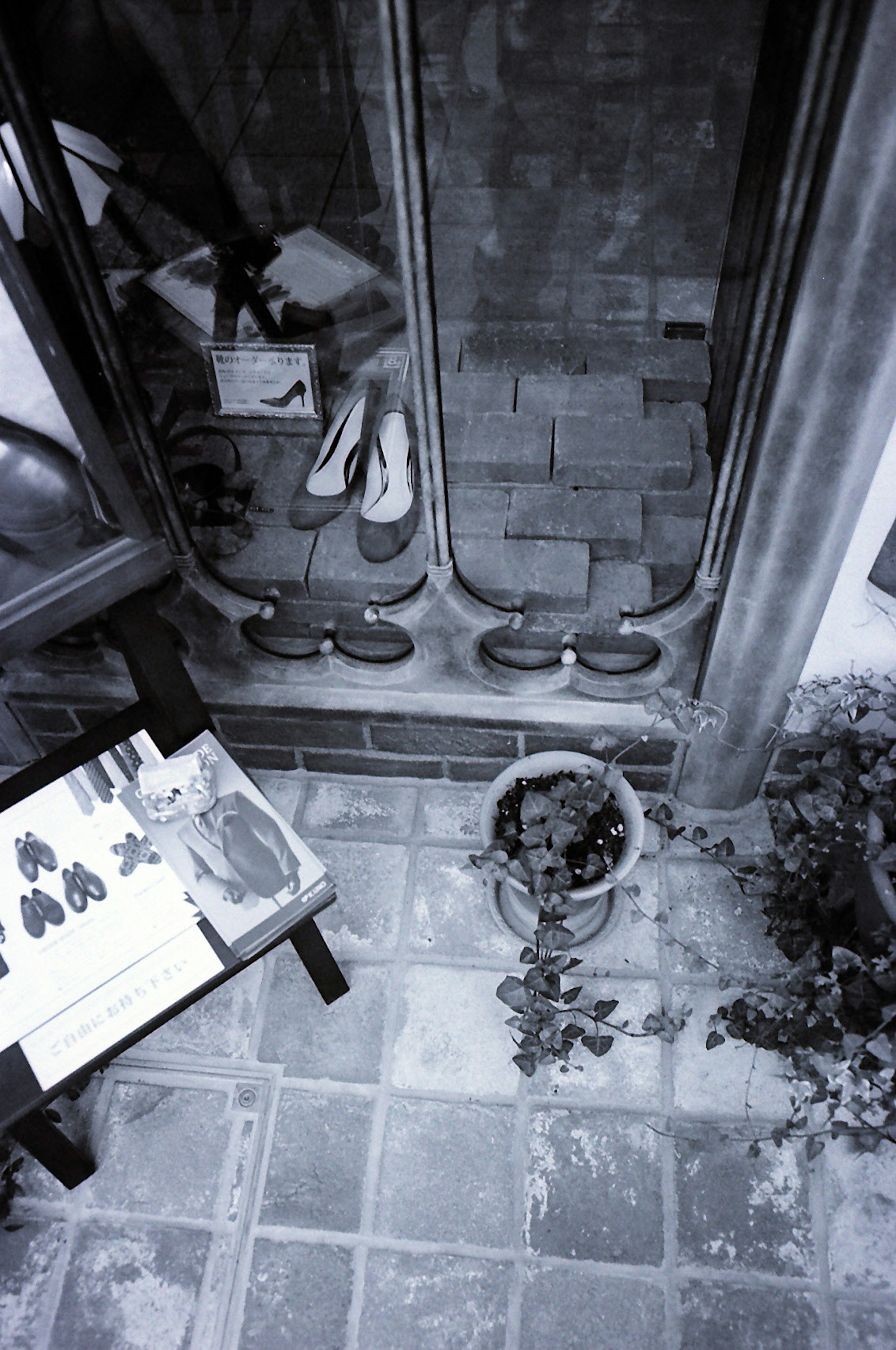 Black and white interior photo featuring shoes and a plant at the entrance