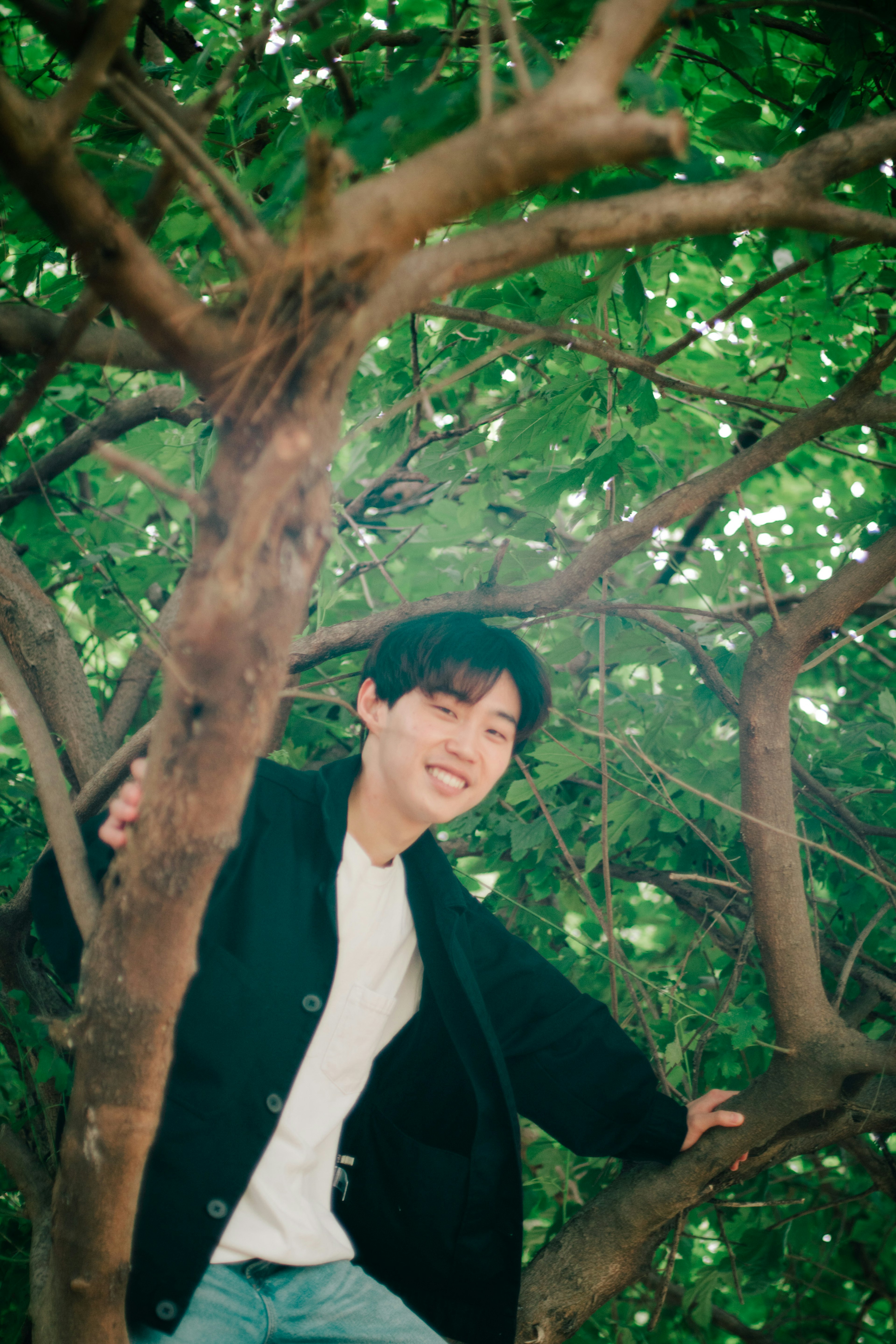 Jeune homme souriant assis dans un arbre entouré de feuilles vertes