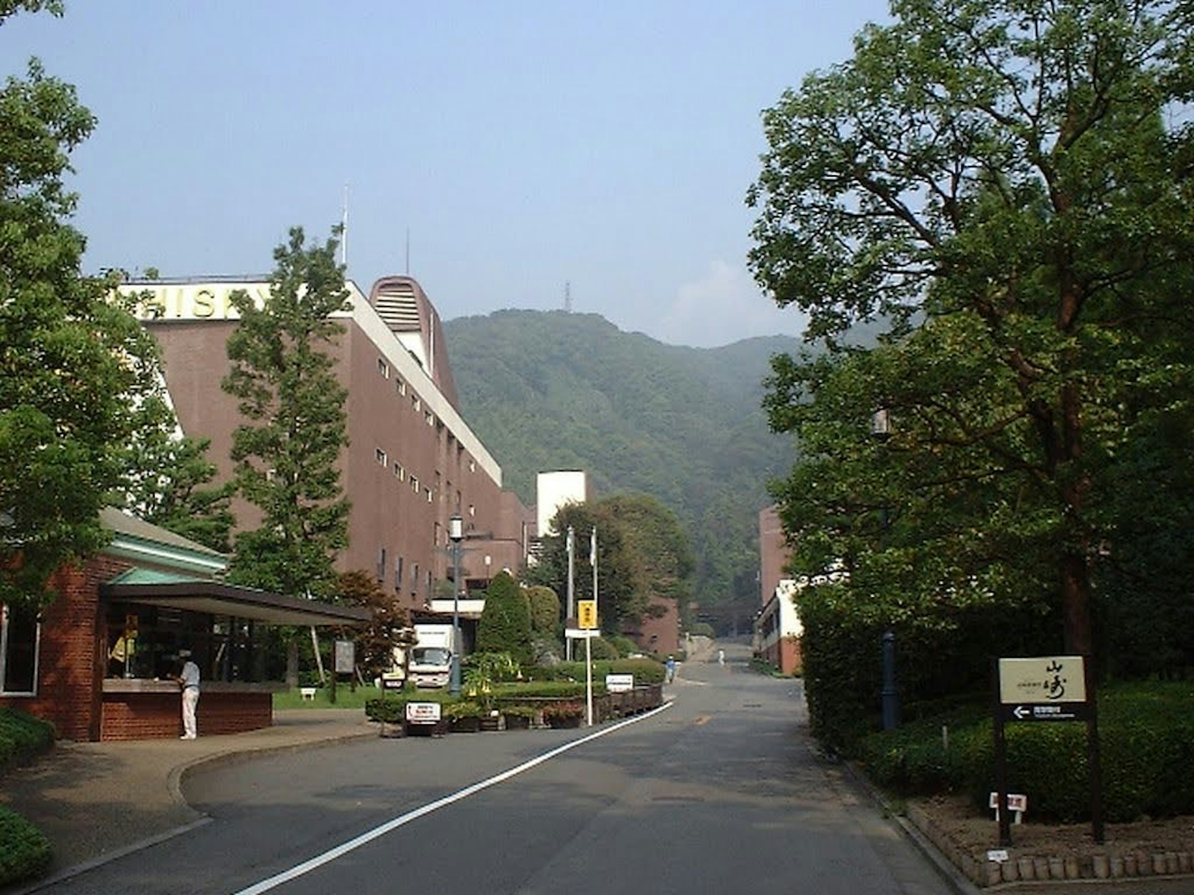 緑豊かな道と山の背景がある静かな風景