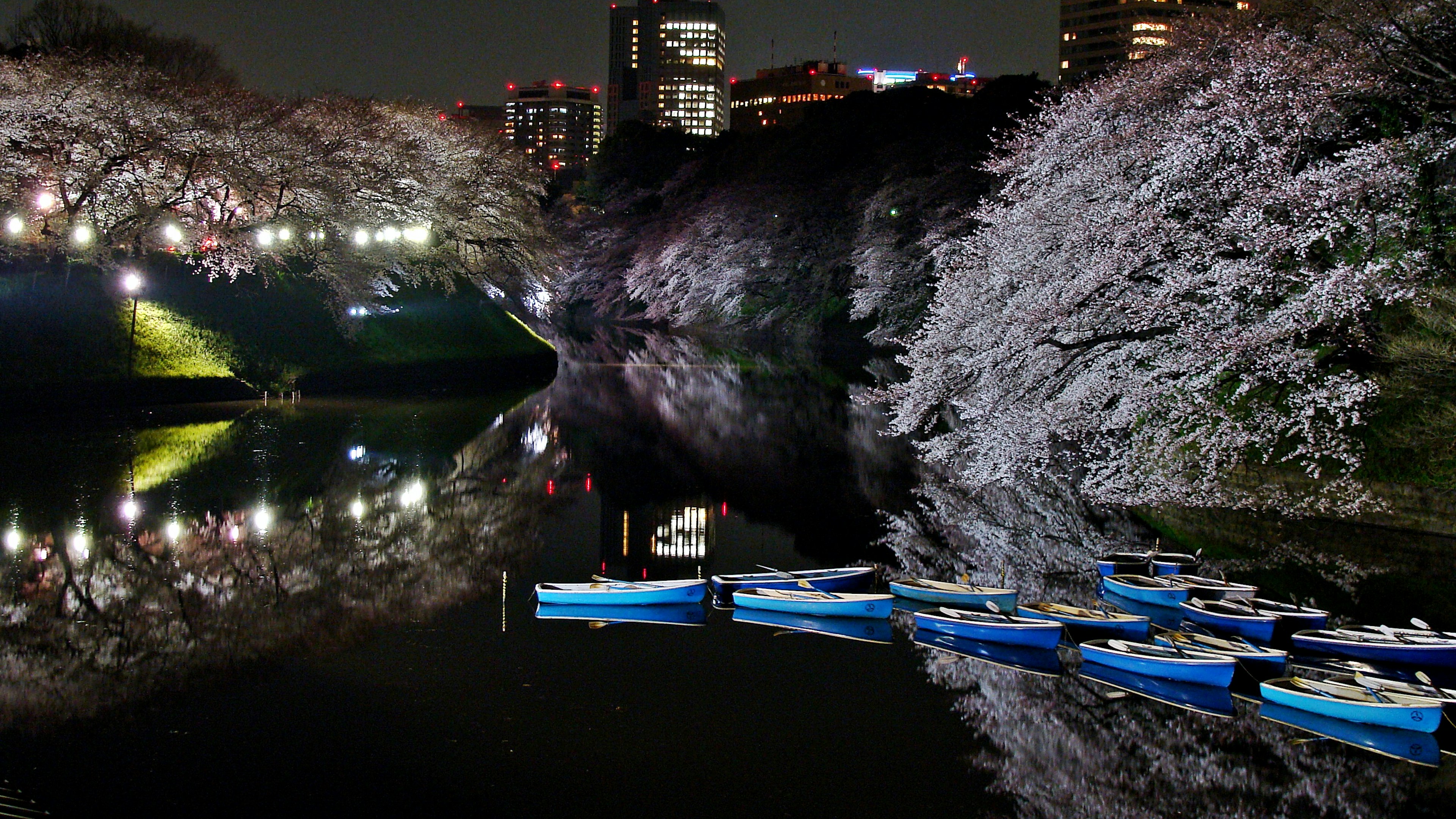 Hermosa escena nocturna de cerezos a lo largo del río con botes