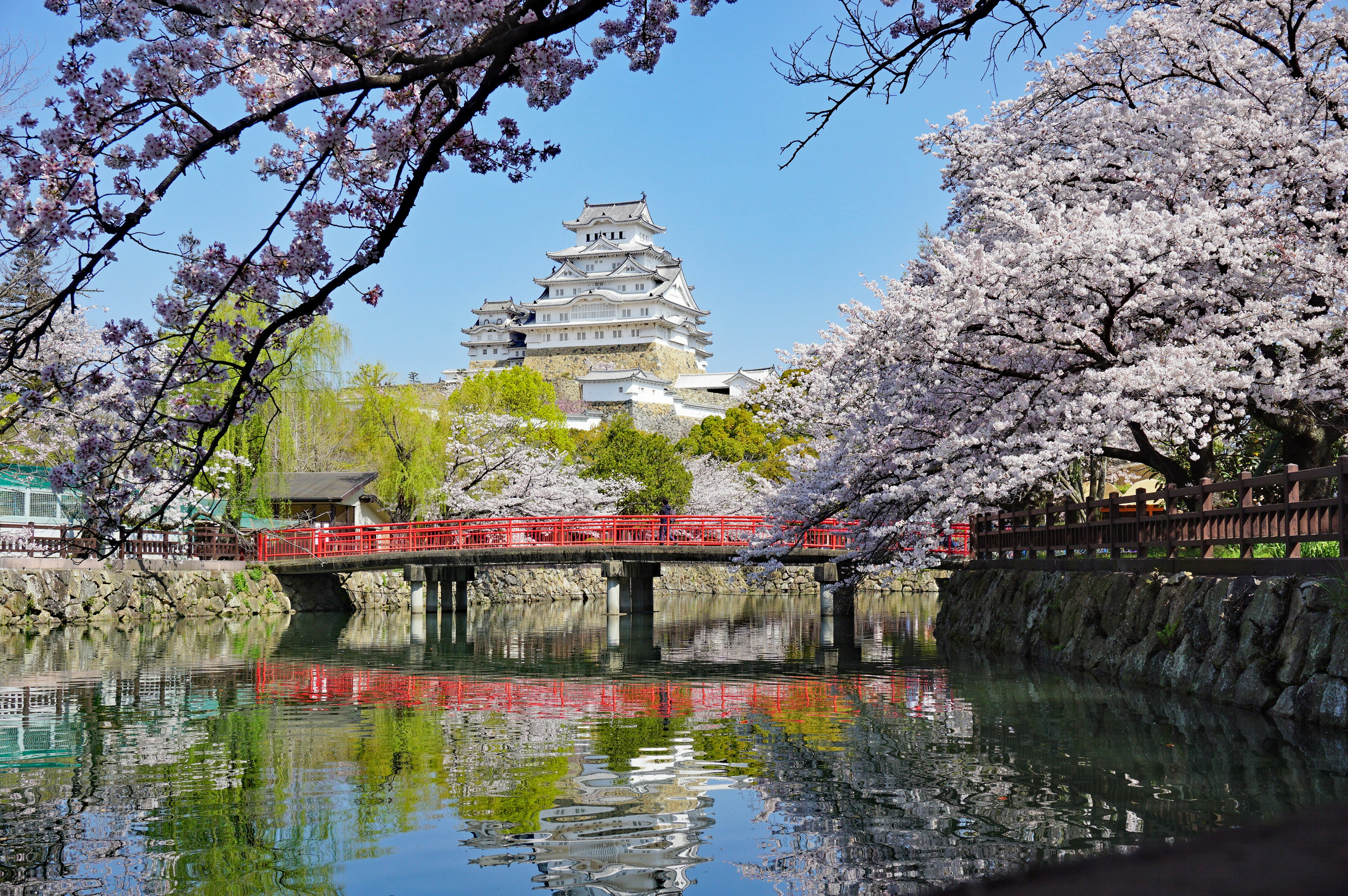 Vista escénica de un castillo rodeado de cerezos en flor y un puente rojo