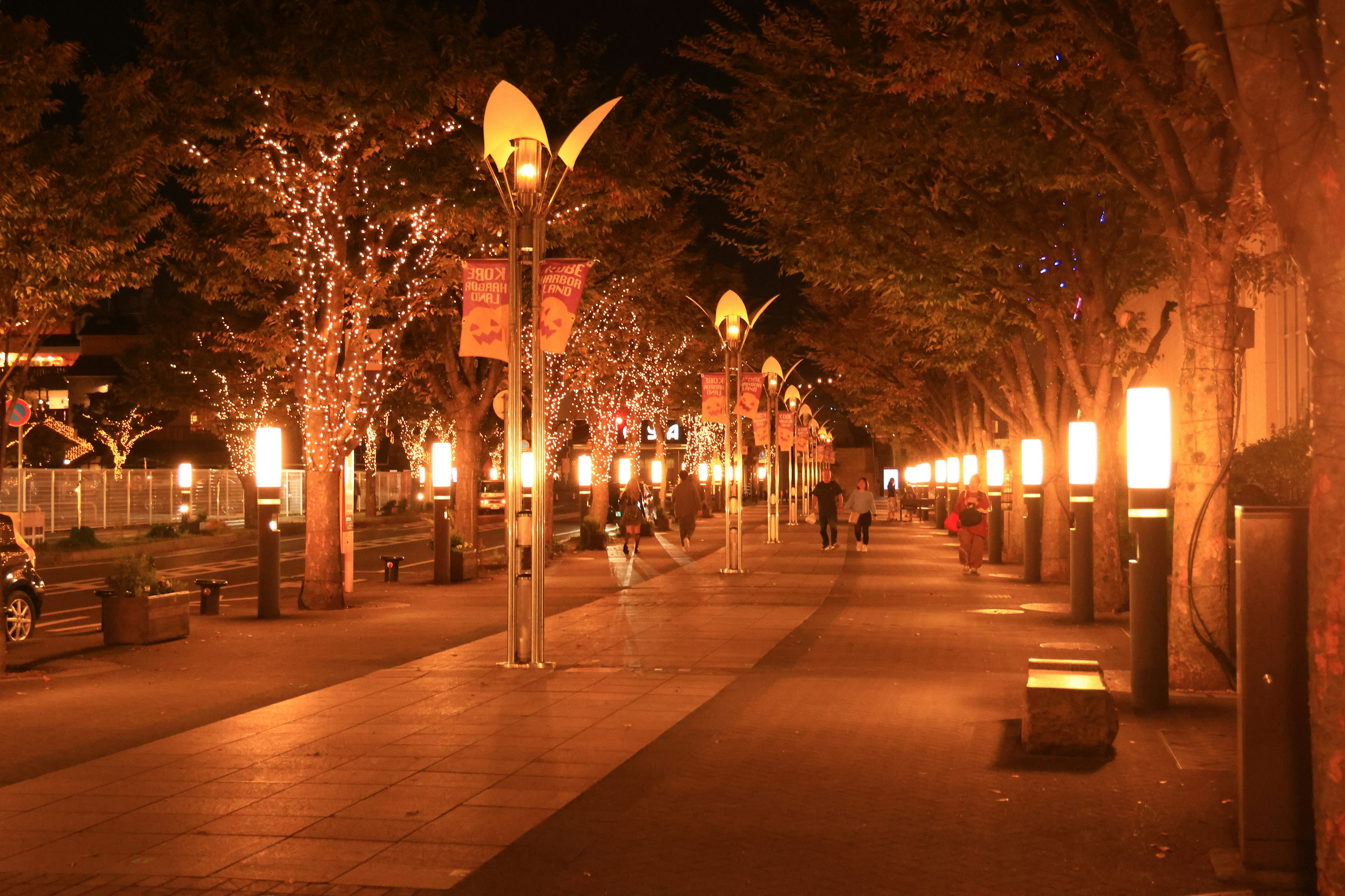 Strada illuminata di notte con alberi e lampioni luminosi