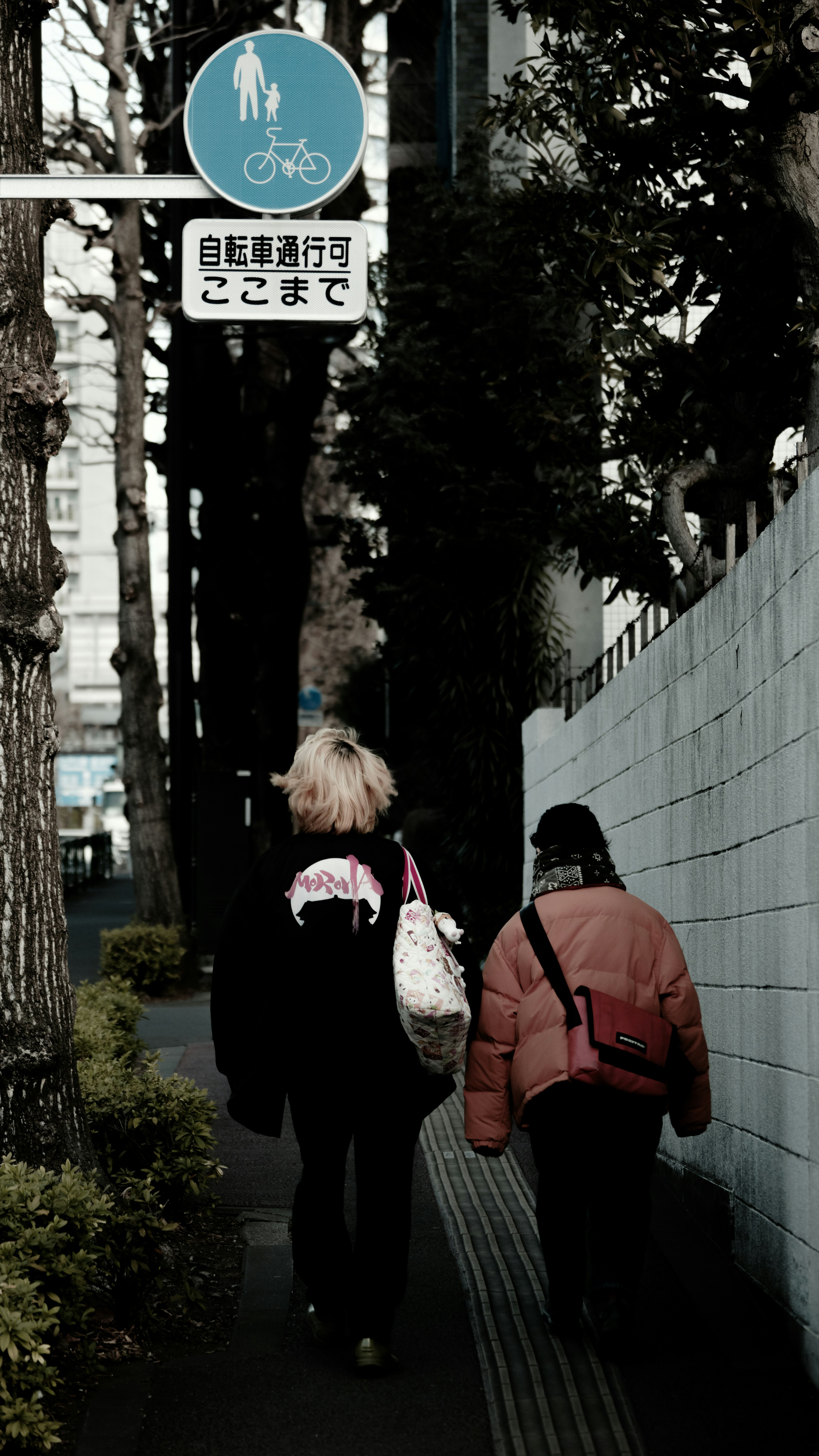 Two women walking on a sidewalk with a pedestrian sign