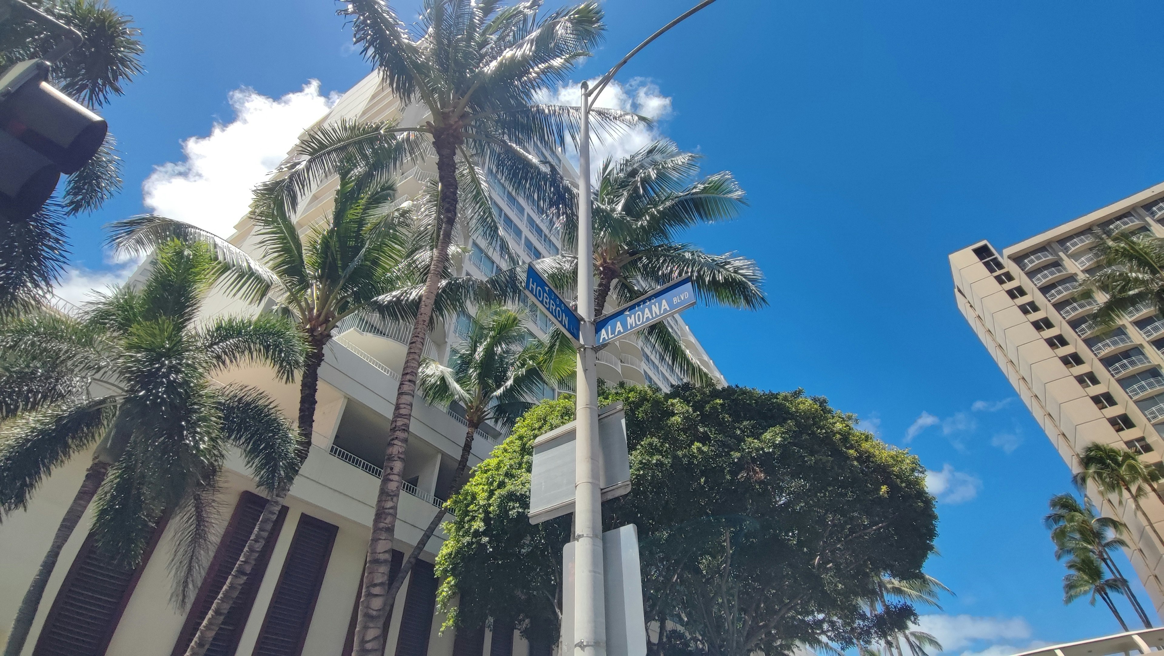 Vista de edificios altos y palmeras bajo un cielo azul claro