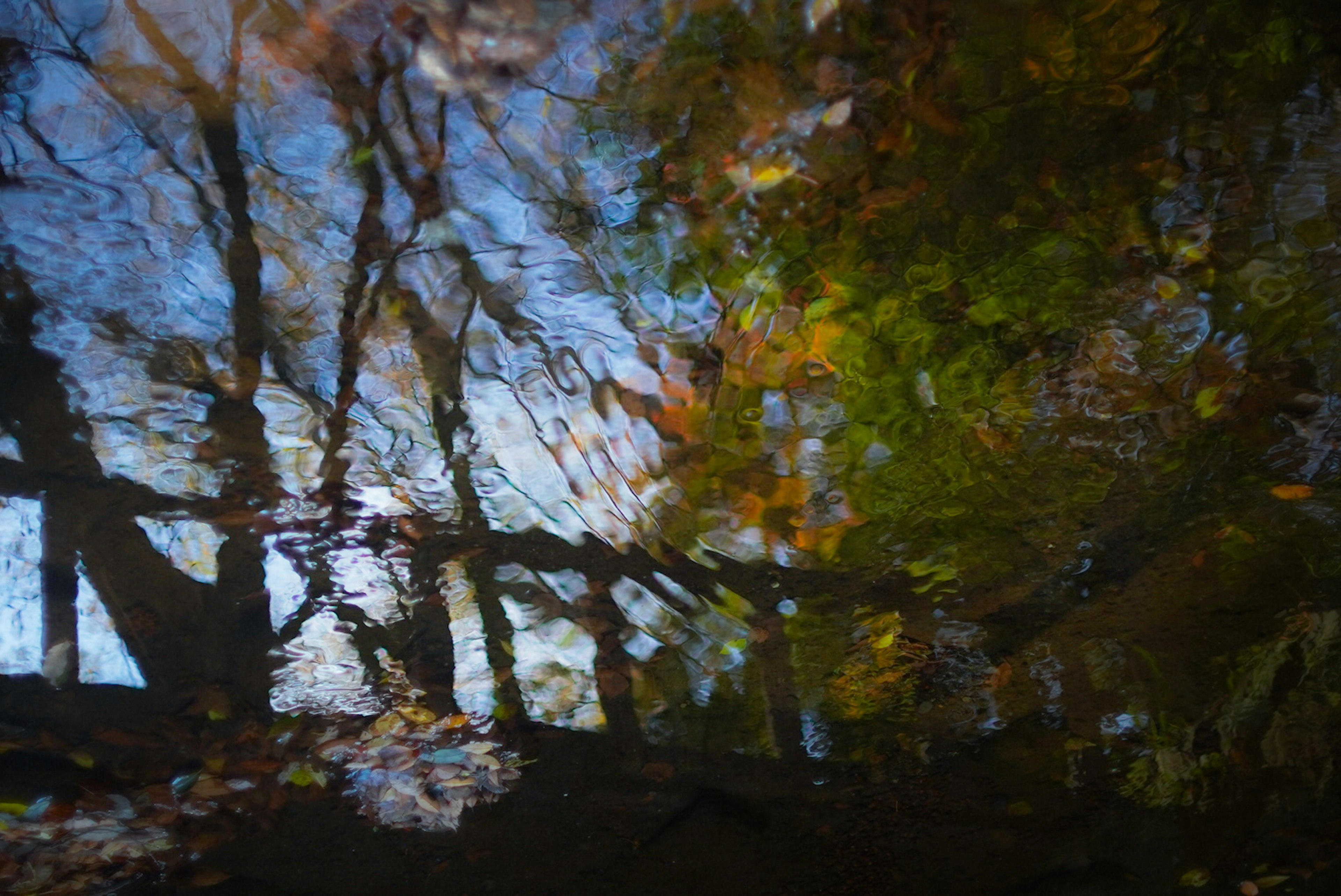 Reflexion von Herbstbäumen und Himmel auf der Wasseroberfläche