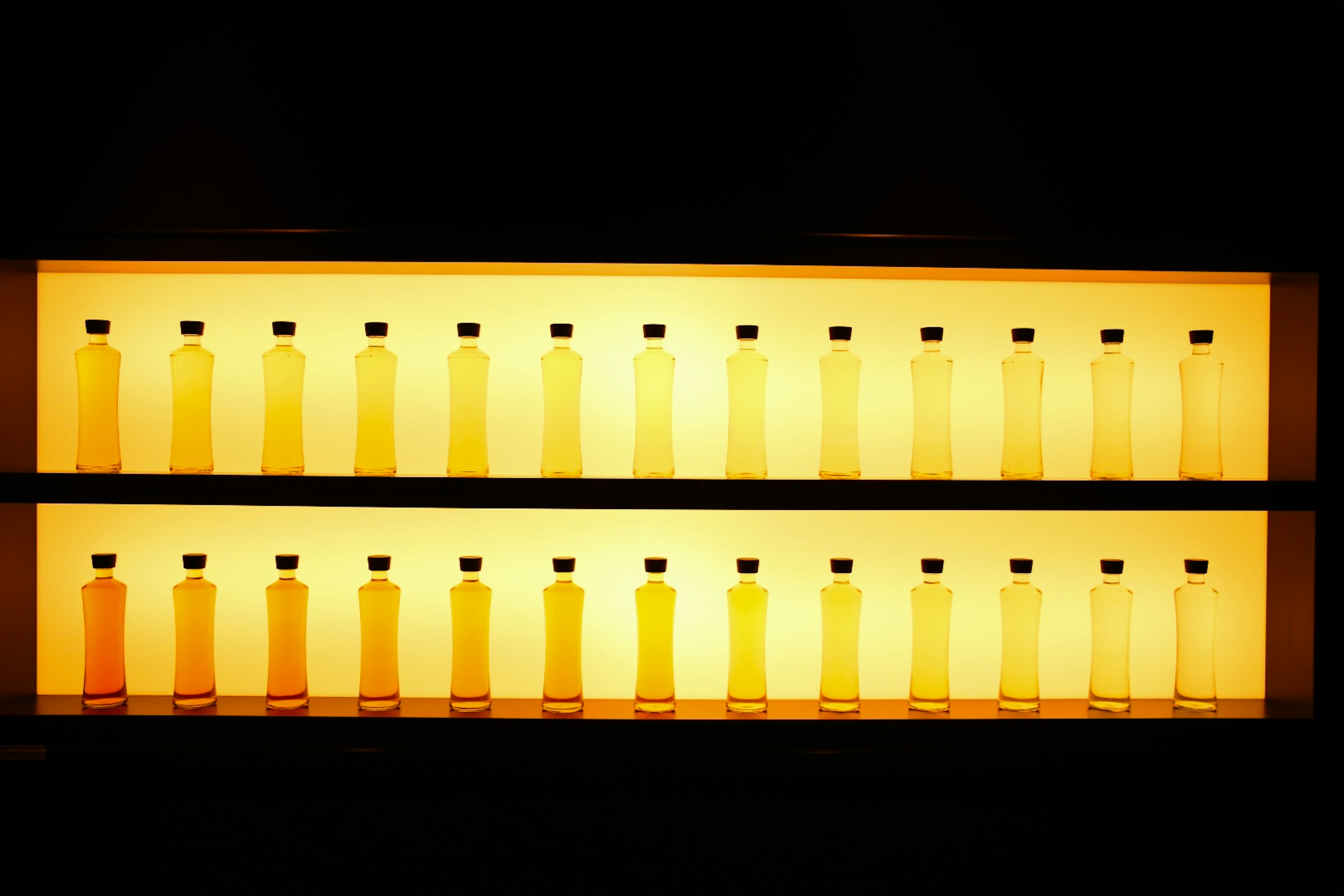 Simple display of transparent bottles lined up against a backlight