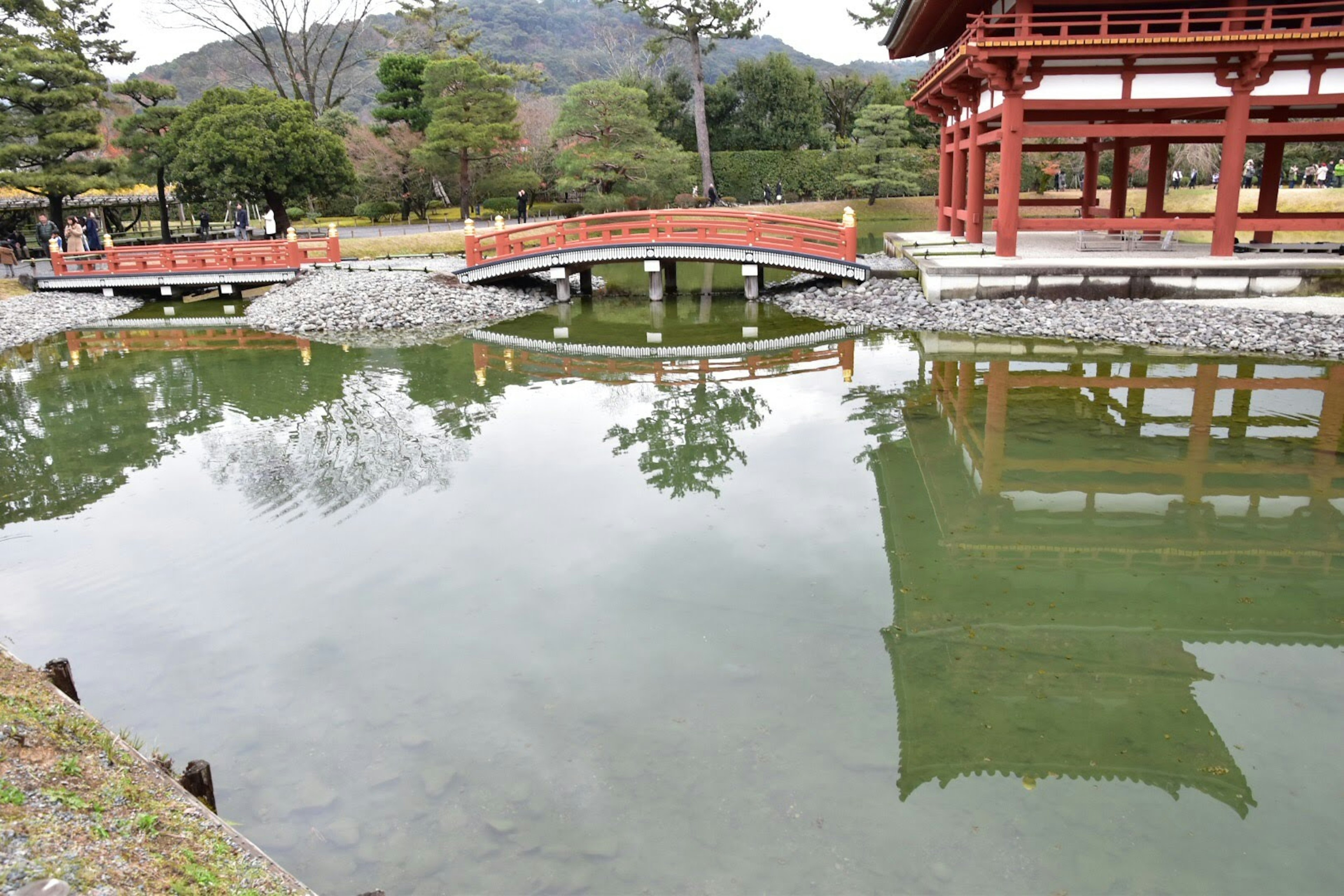 Pemandangan indah kolam taman Jepang dengan jembatan