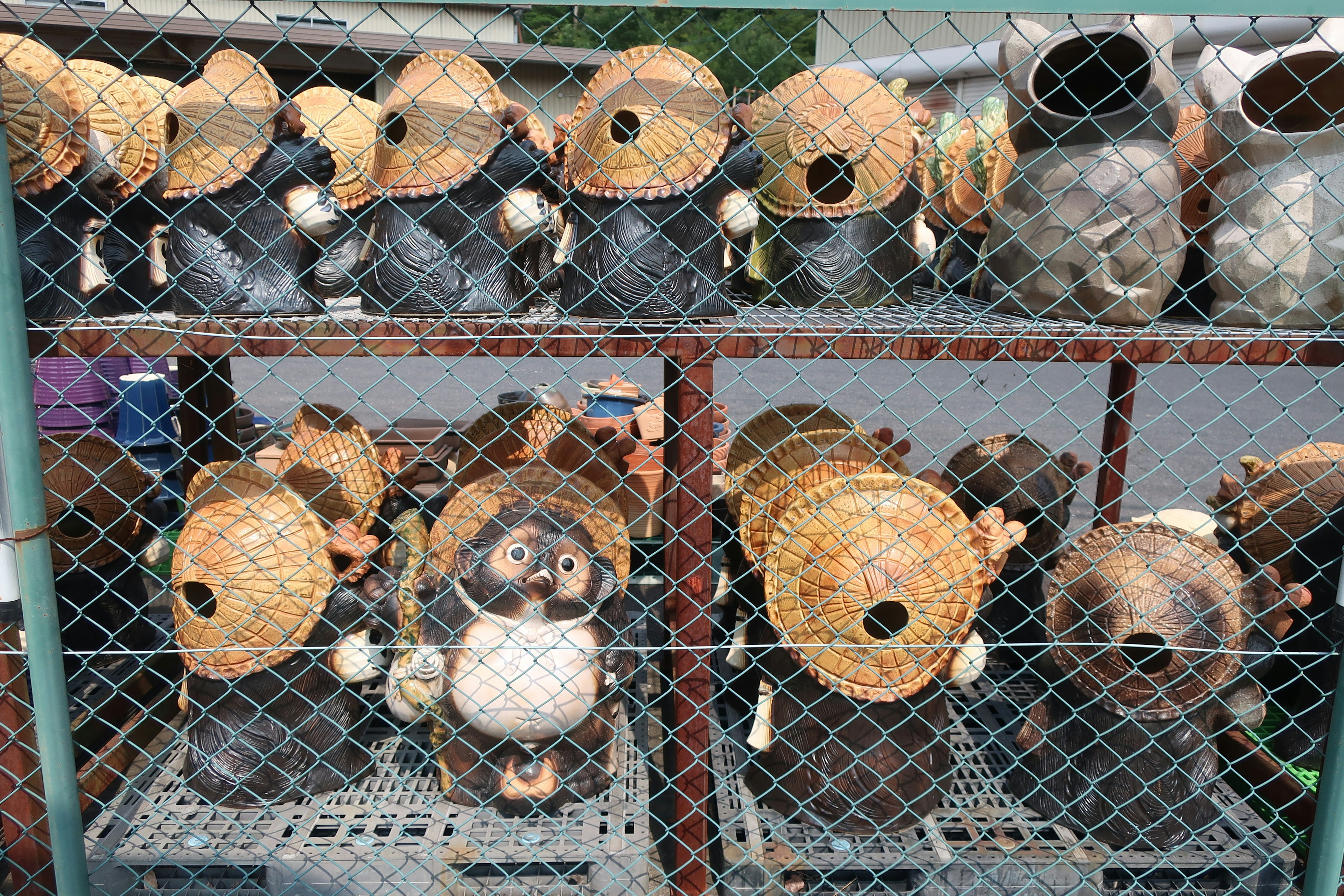 Tanuki de cerámica con sombreros de bambú exhibidos en estantes