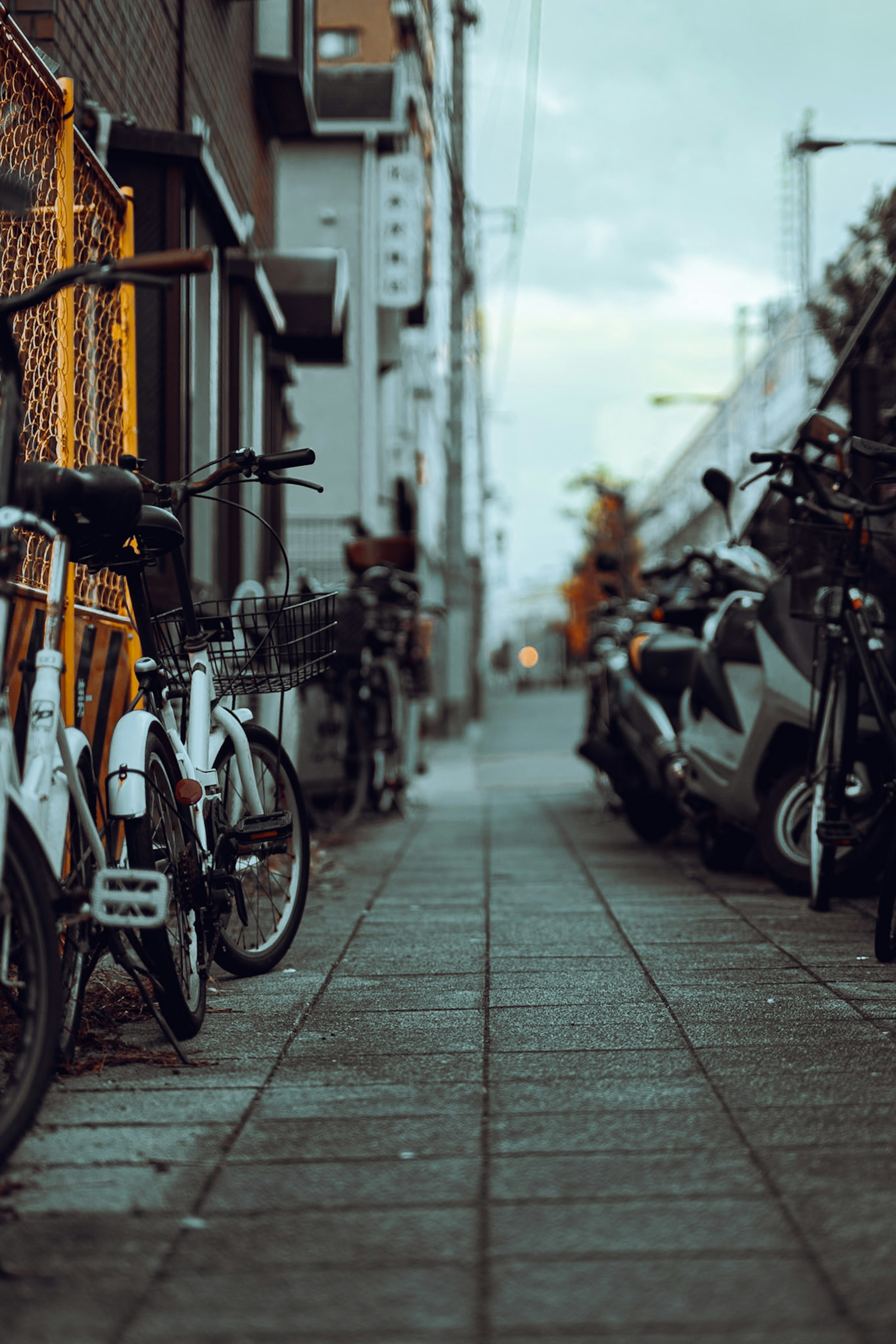 街の歩道に並ぶ自転車とバイクの風景