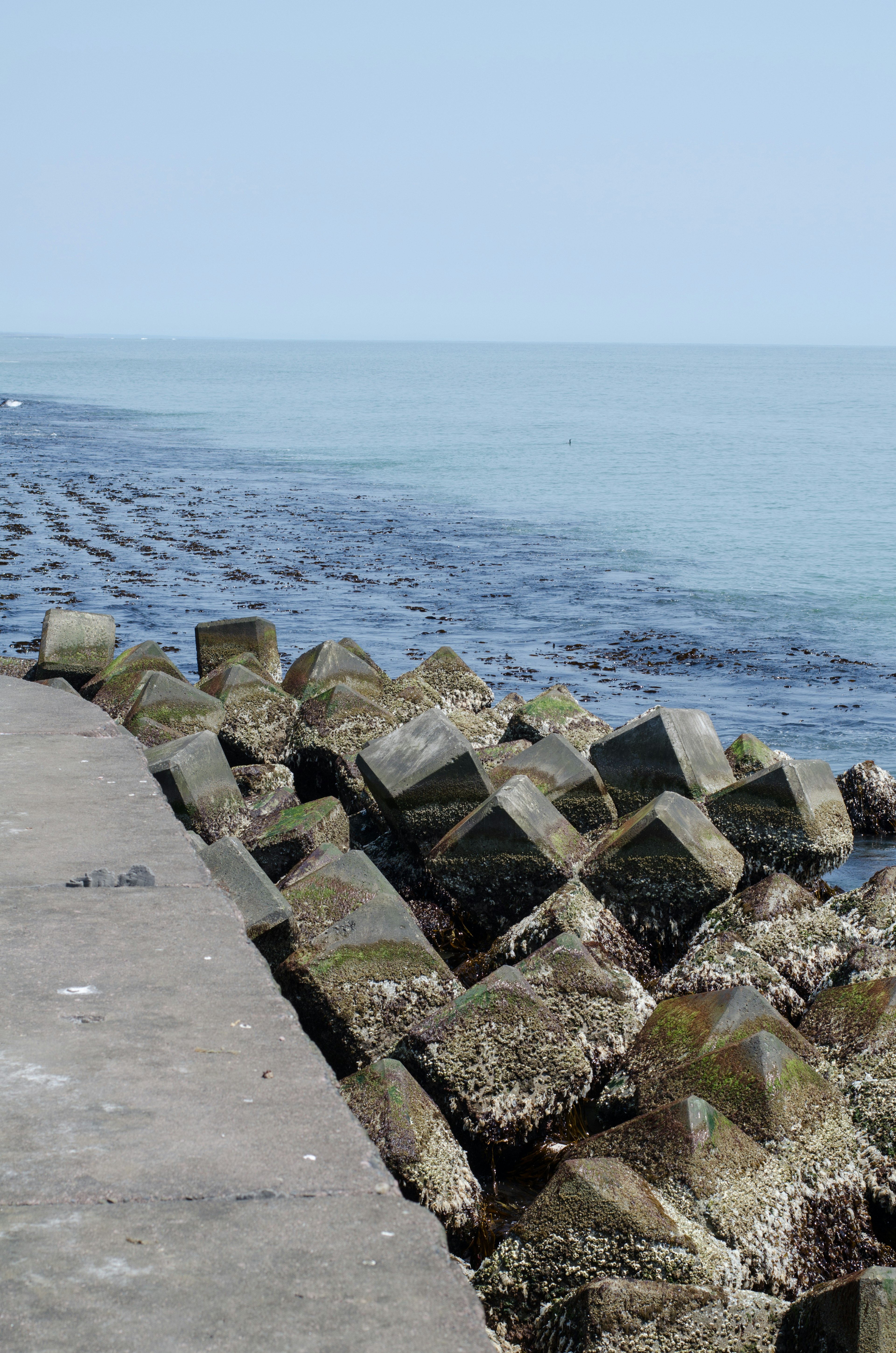 Blok beton di sepanjang garis pantai dengan air tenang