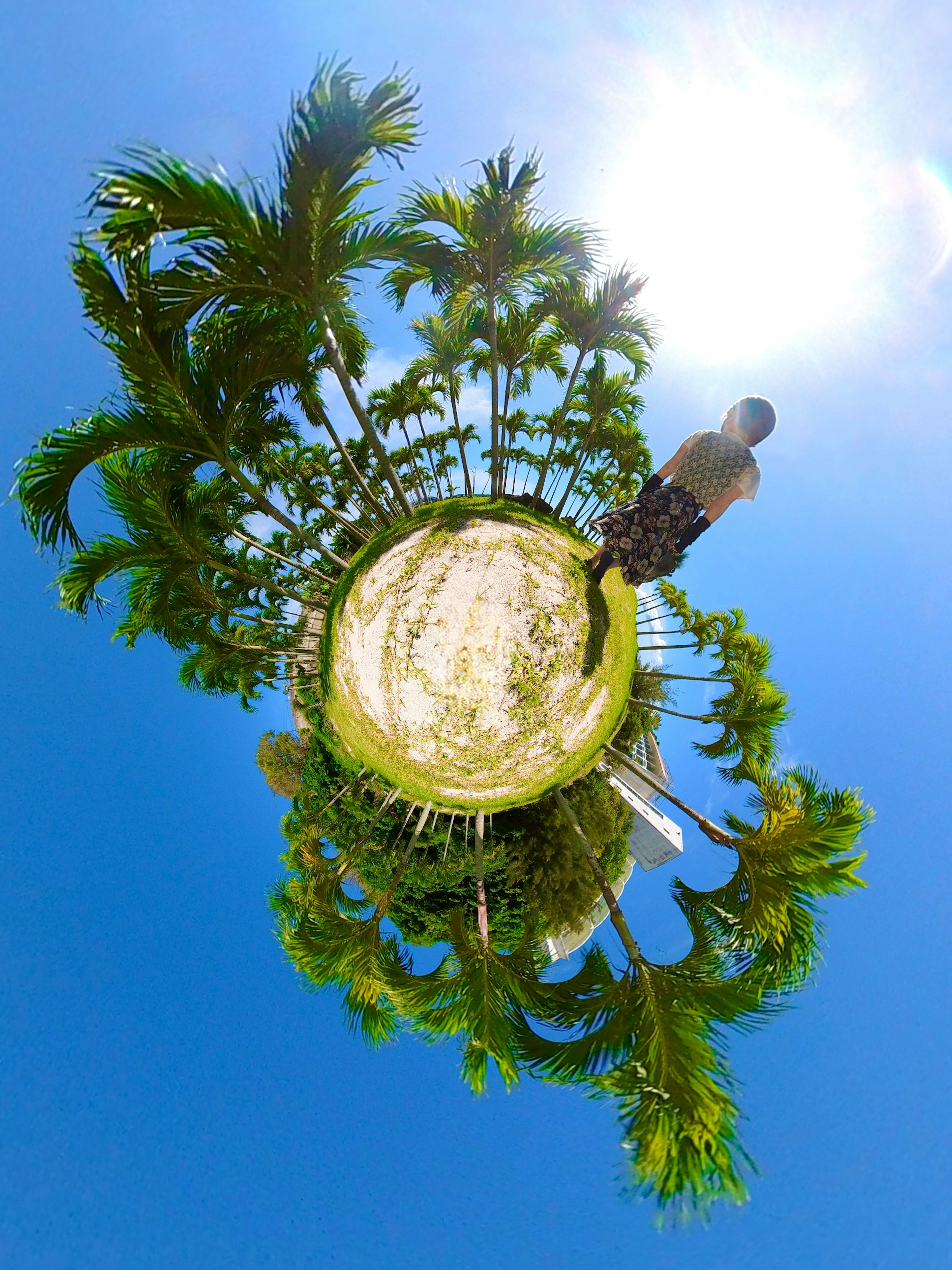 Un pequeño planeta verde rodeado de palmeras bajo un cielo azul