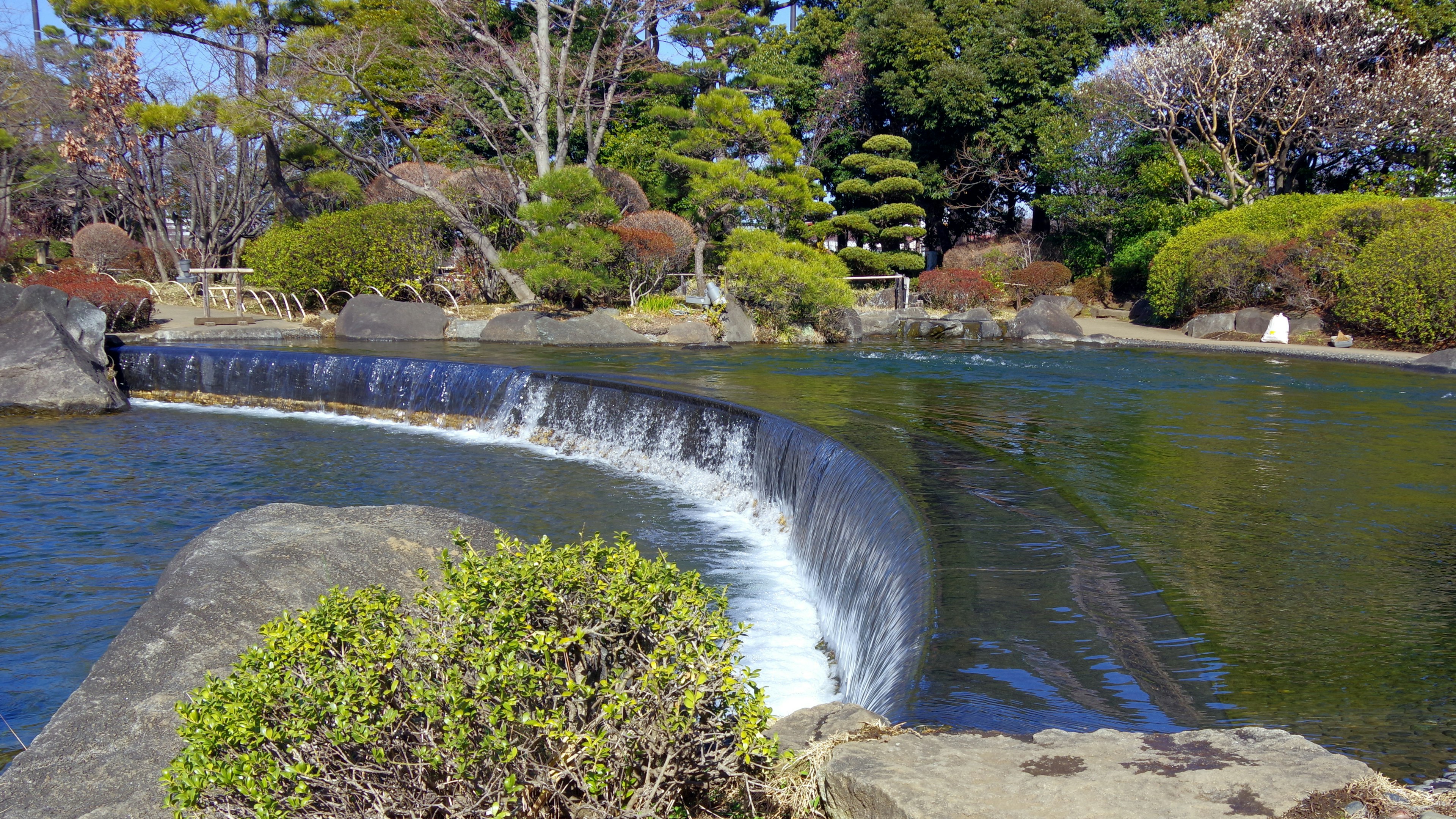 Kolam taman Jepang yang indah dengan air terjun