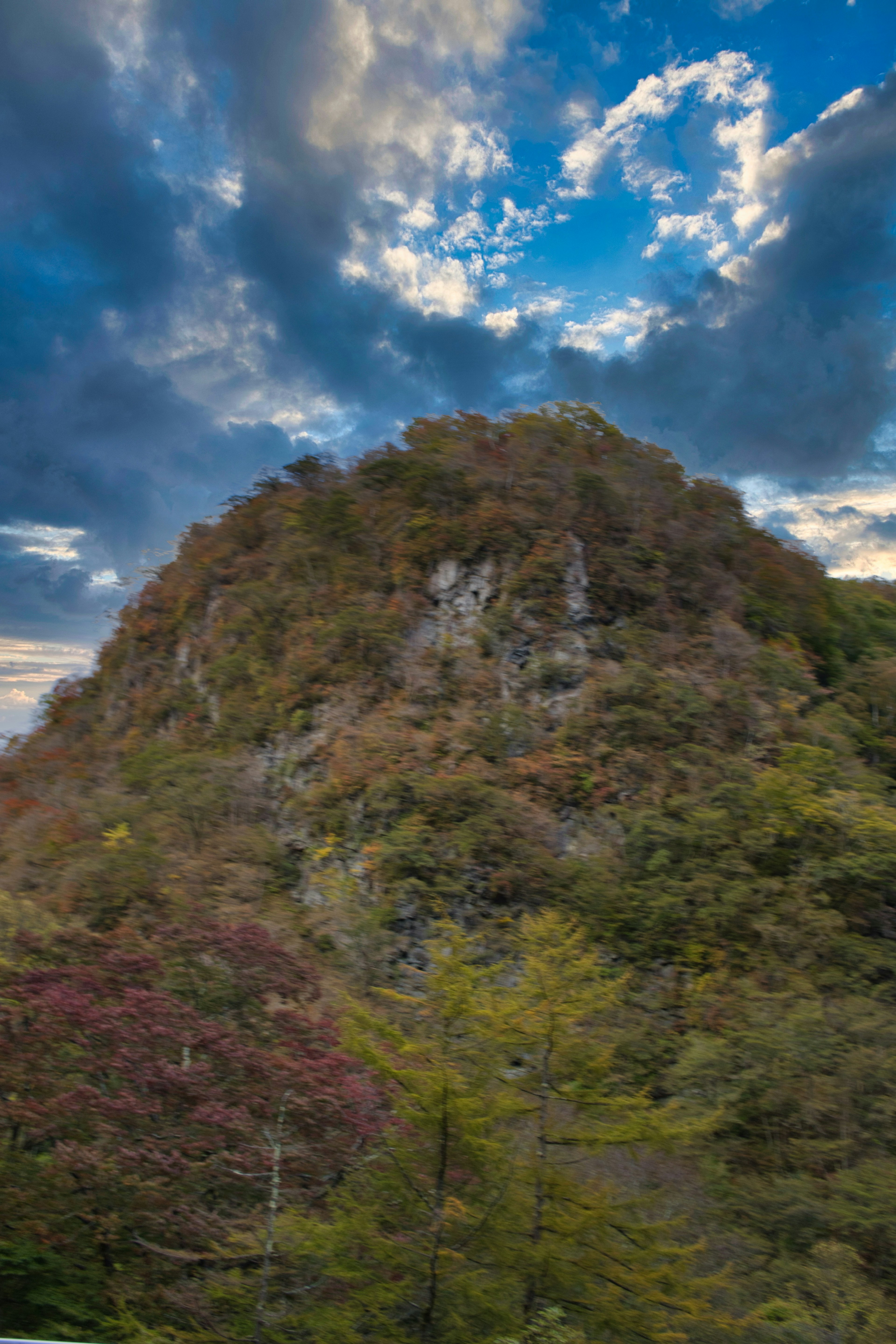 色とりどりの木々に覆われた山の風景 青空と雲が広がる