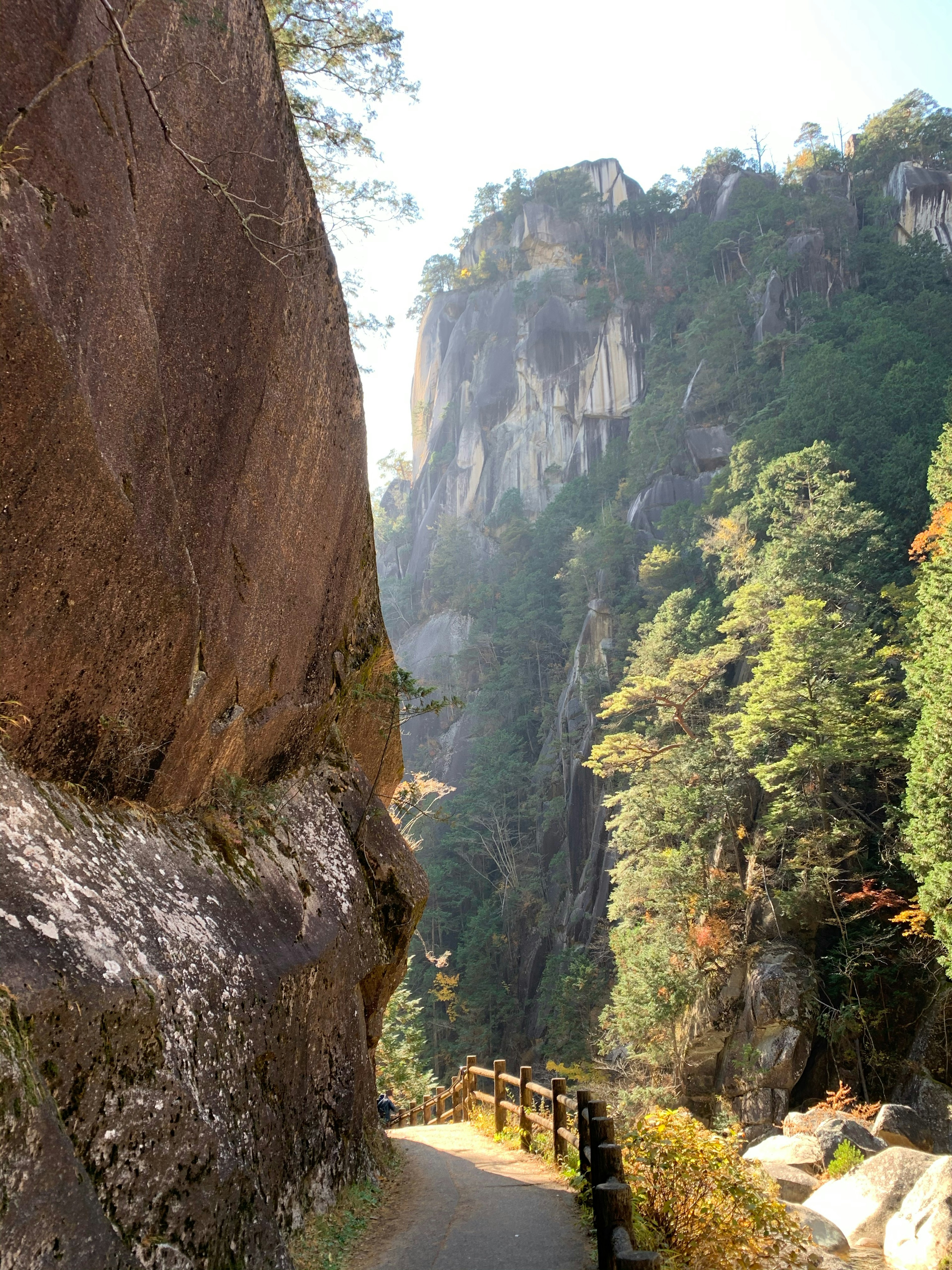 Sentiero di montagna panoramico con vegetazione lussureggiante e scogliere ripide