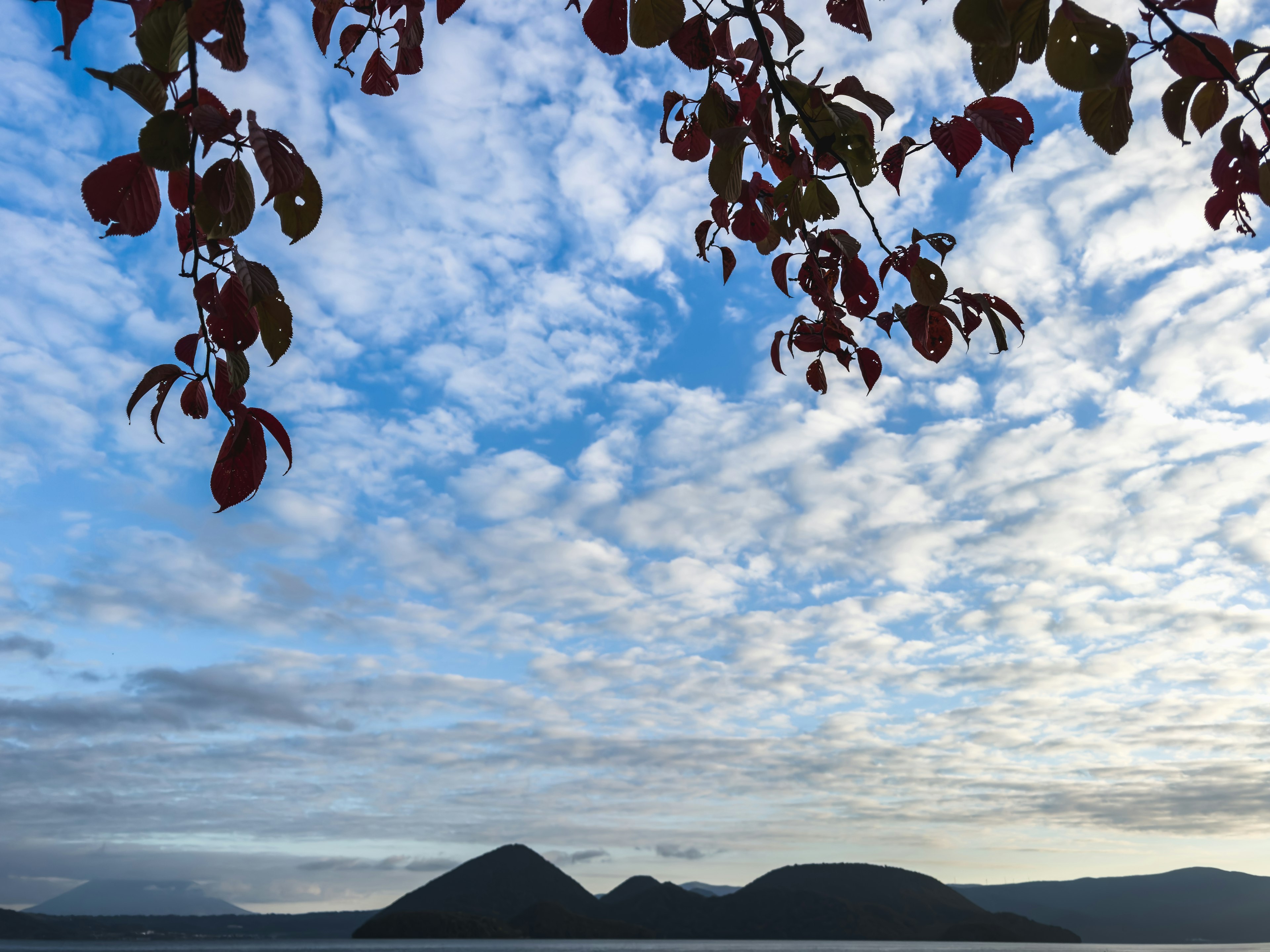 Landscape featuring mountains under a blue sky with clouds and leaves