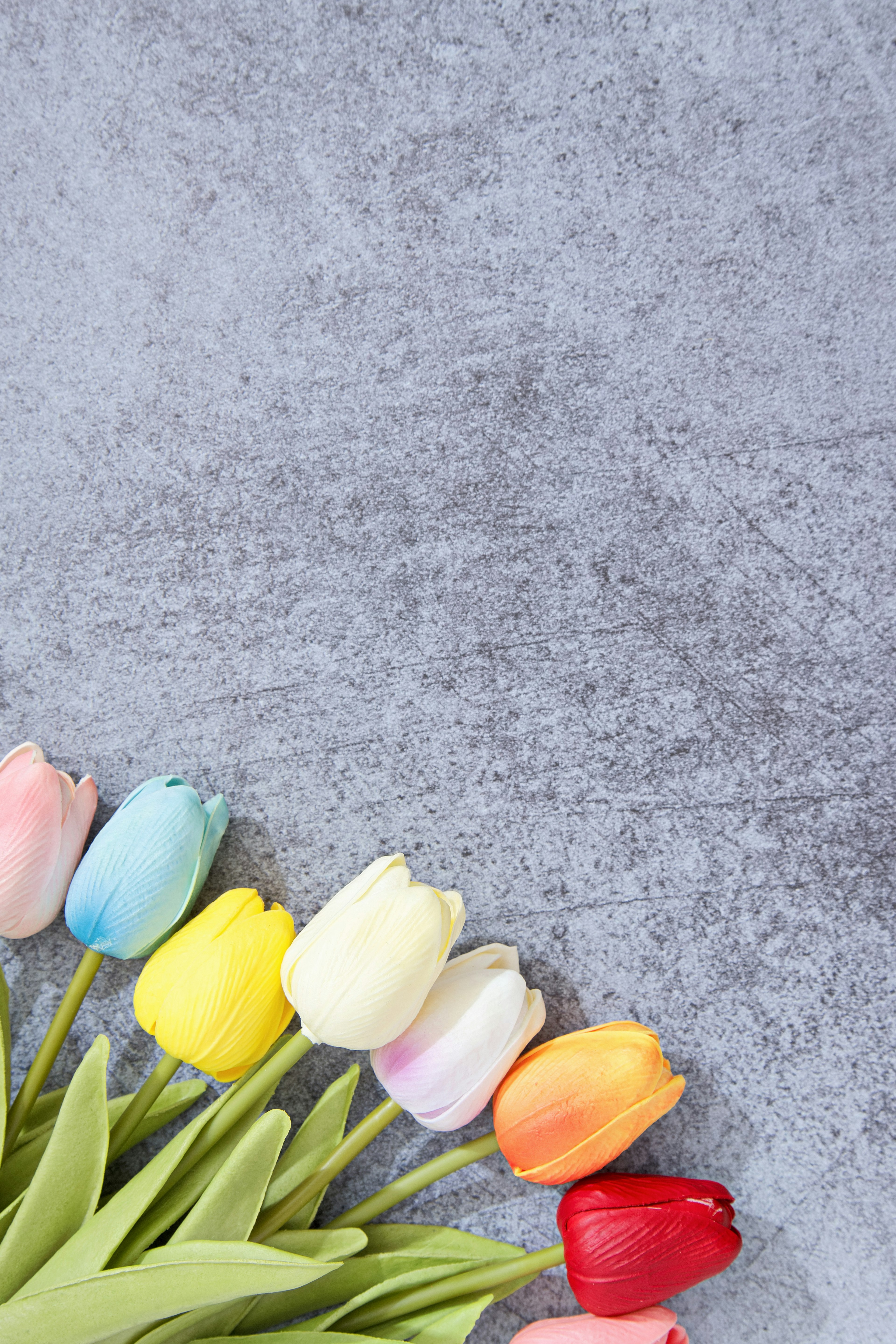 Colorful bouquet of tulips on a gray background