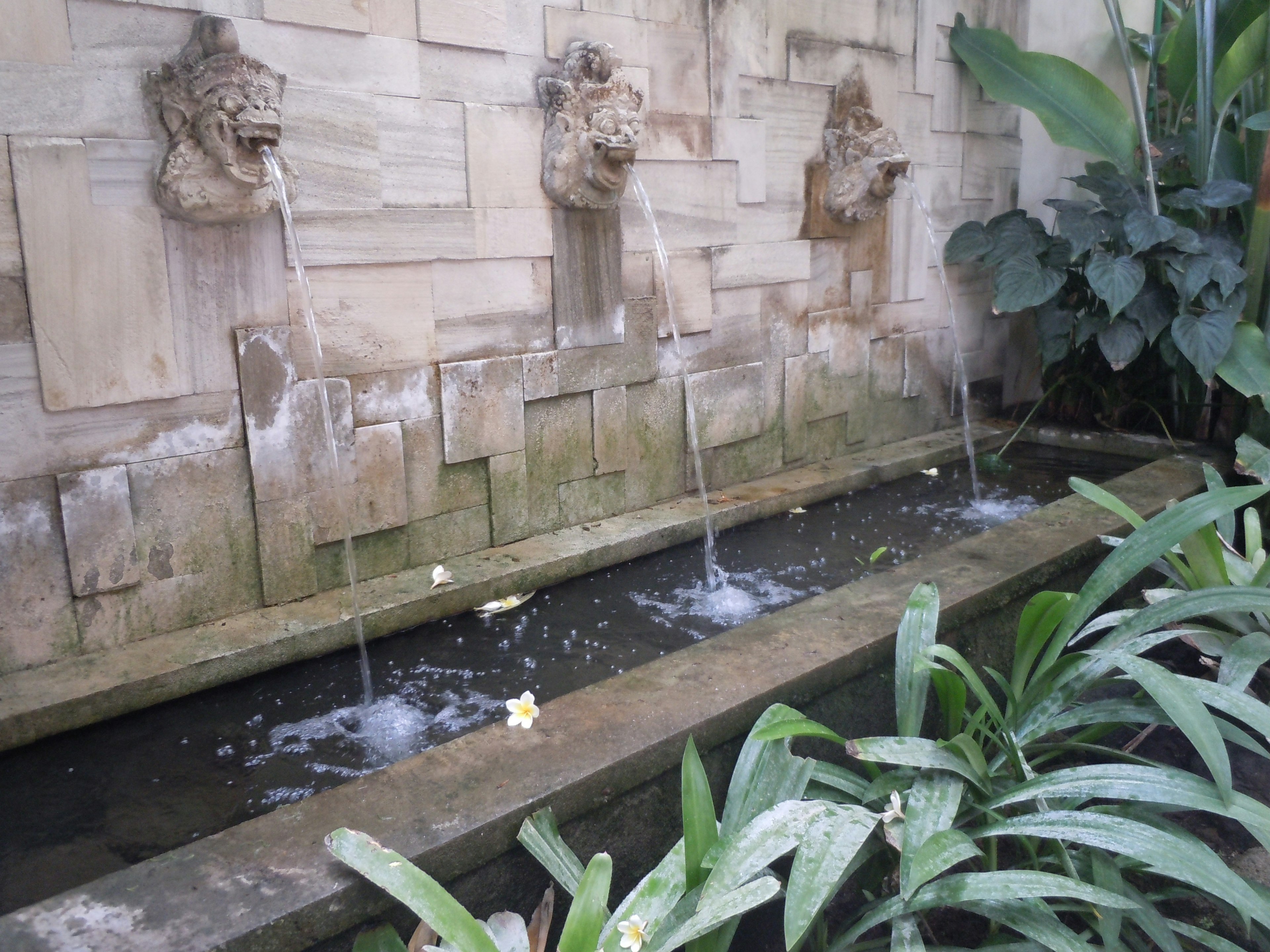 Gartenbrunnen mit Löwenskulpturen, die Wasser aus der Wand sprudeln