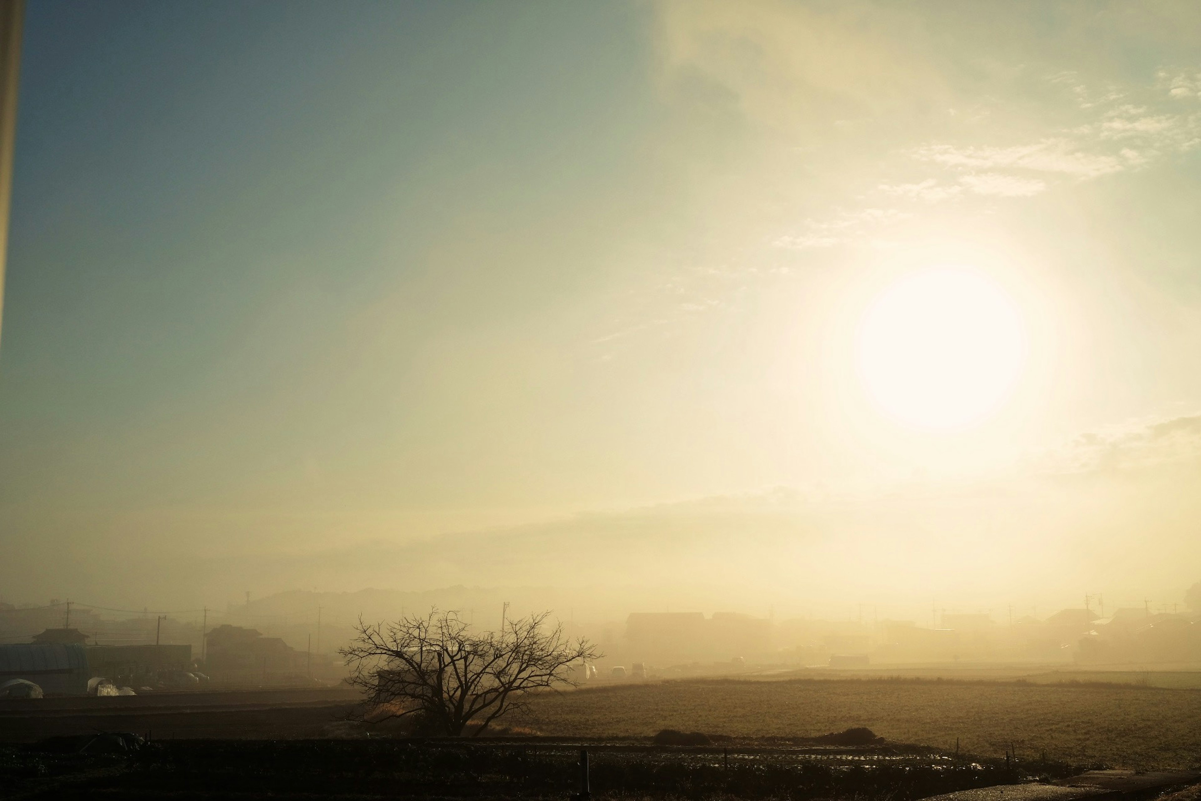 Paesaggio nebbioso con luce solare morbida