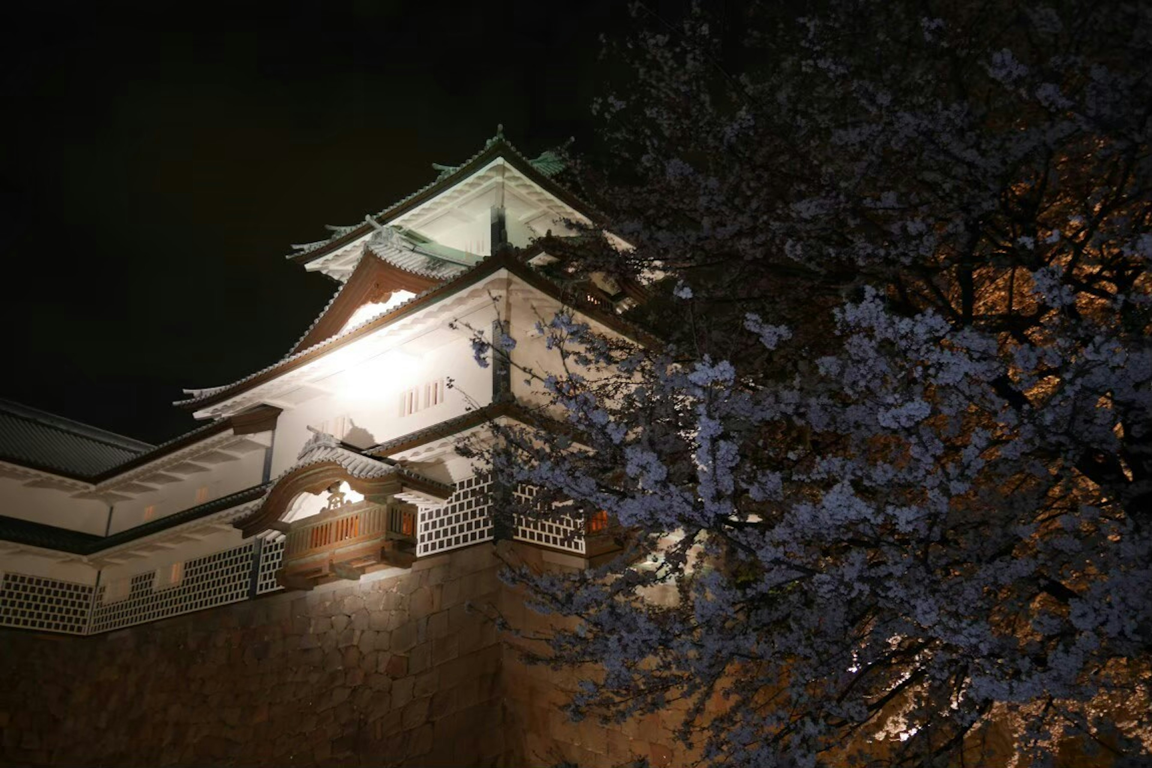 Schöne Nachtansicht der Kirschblüten und der Burg