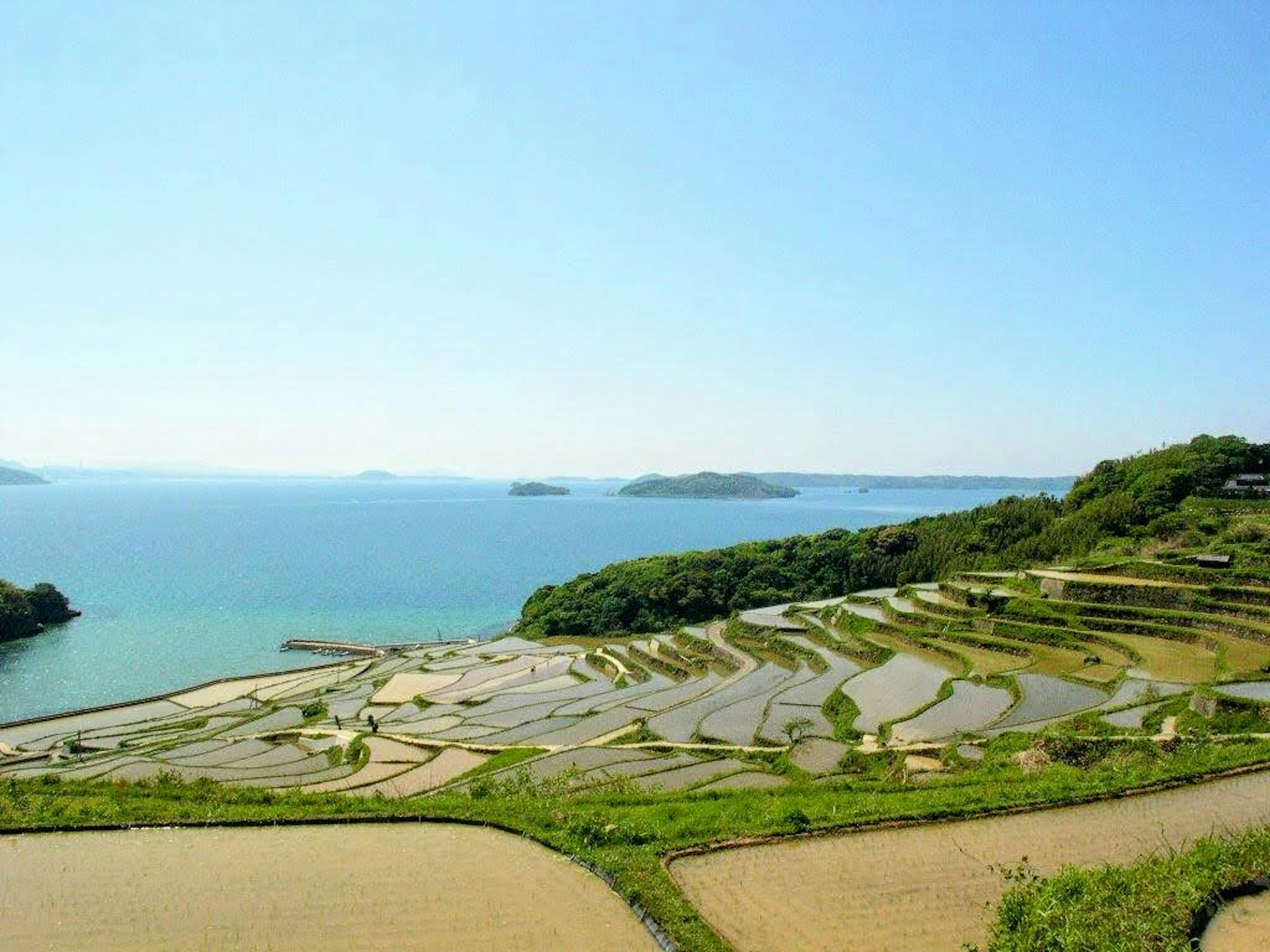 Hermoso paisaje con mar azul y terrazas de arroz verdes