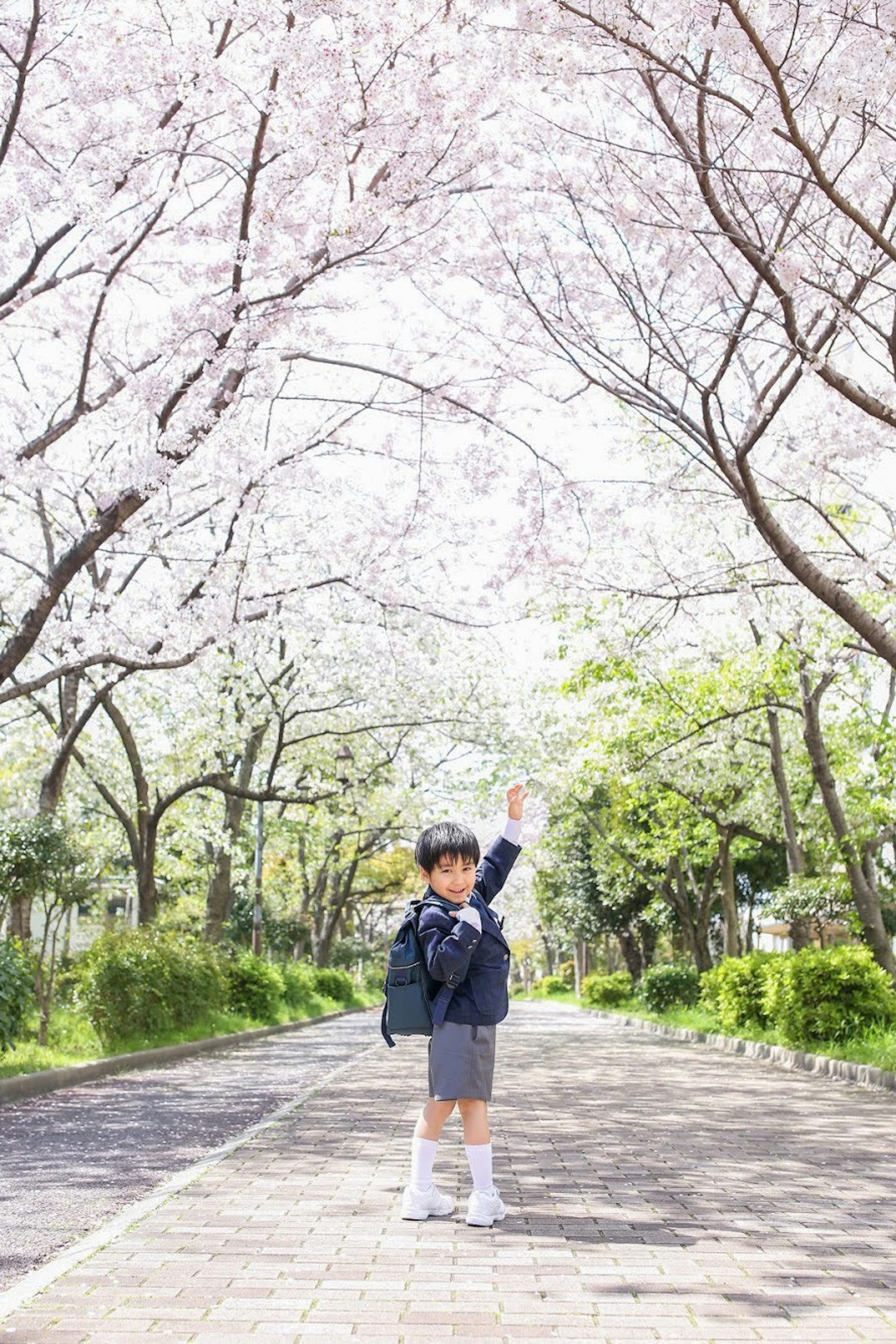 Enfant se tenant sous des cerisiers en fleurs levant la main