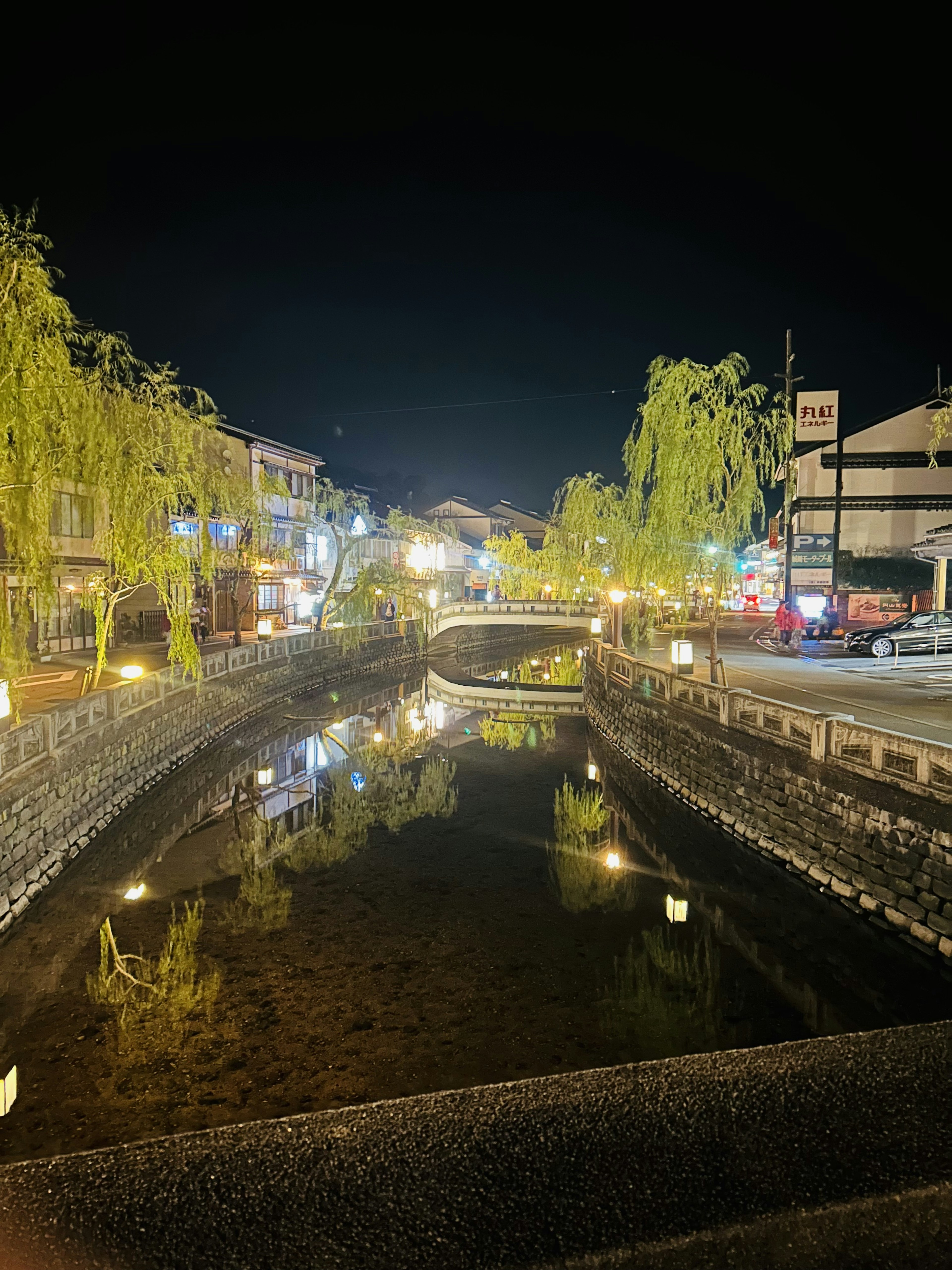 夜の川沿いの風景 緑の柳と明かりが幻想的な雰囲気を演出する