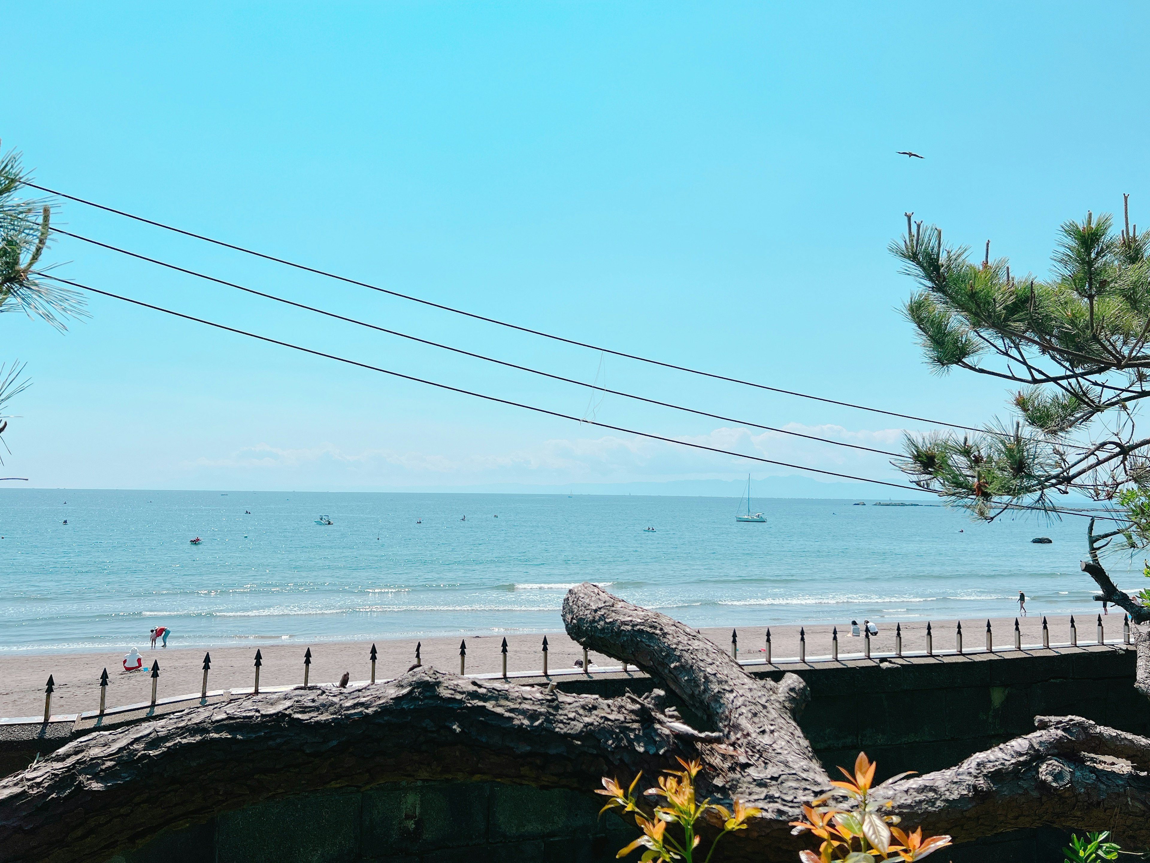 Pemandangan laut biru dan langit dengan cabang pohon dan kabel listrik