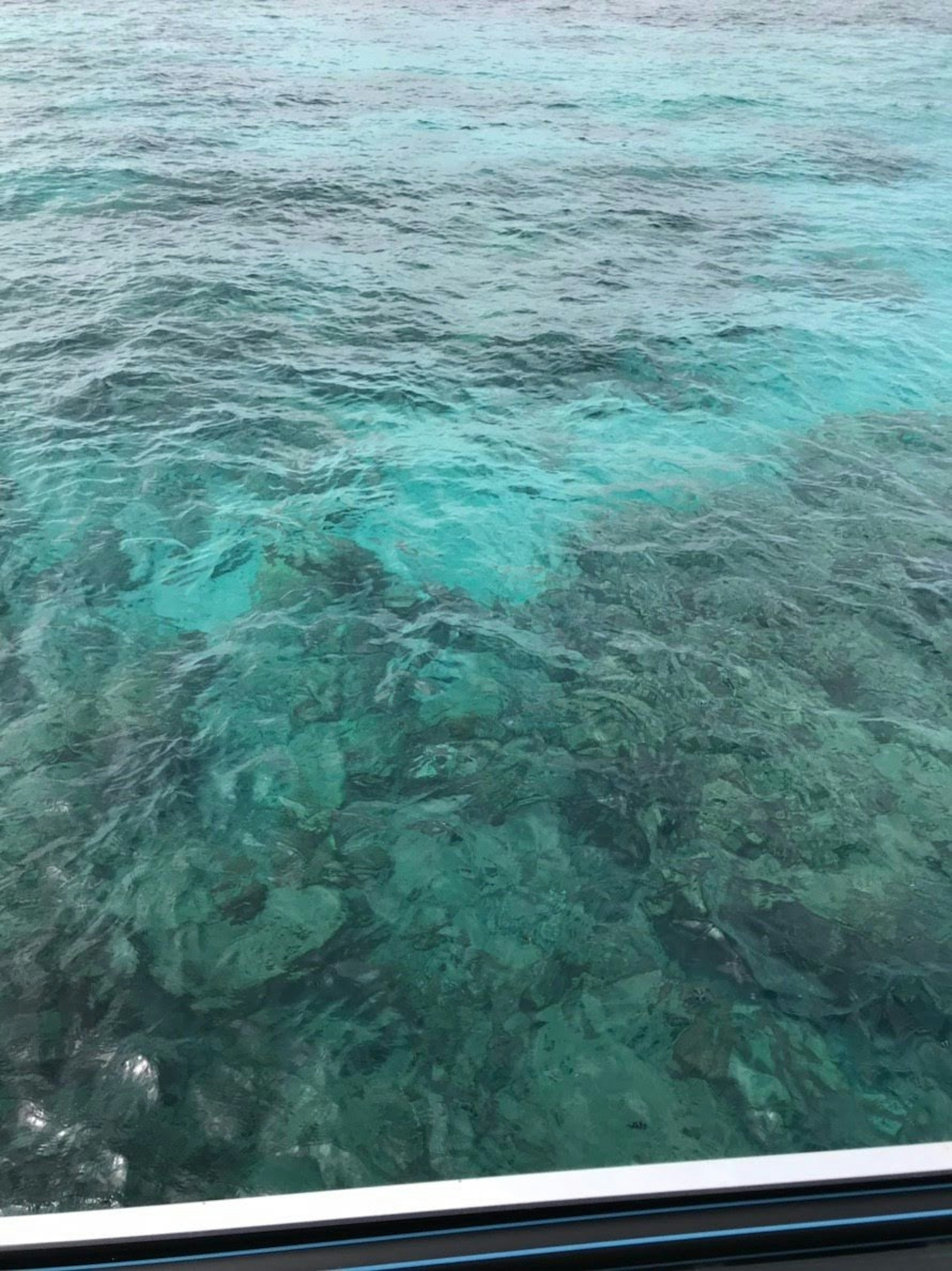 Acqua turchese chiara che rivela il fondale roccioso