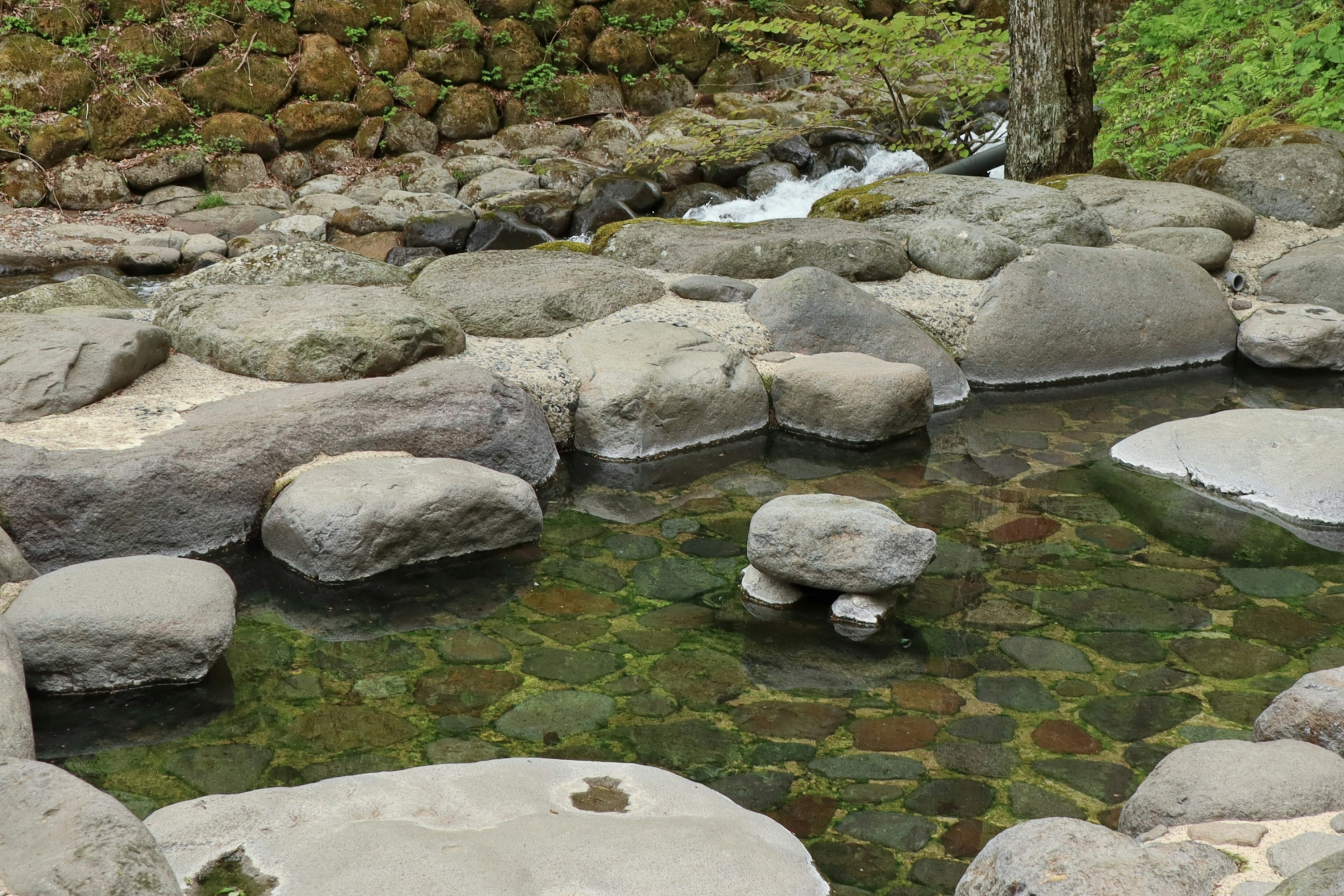 岩に囲まれた静かな温泉の景色透明な水と緑の植物