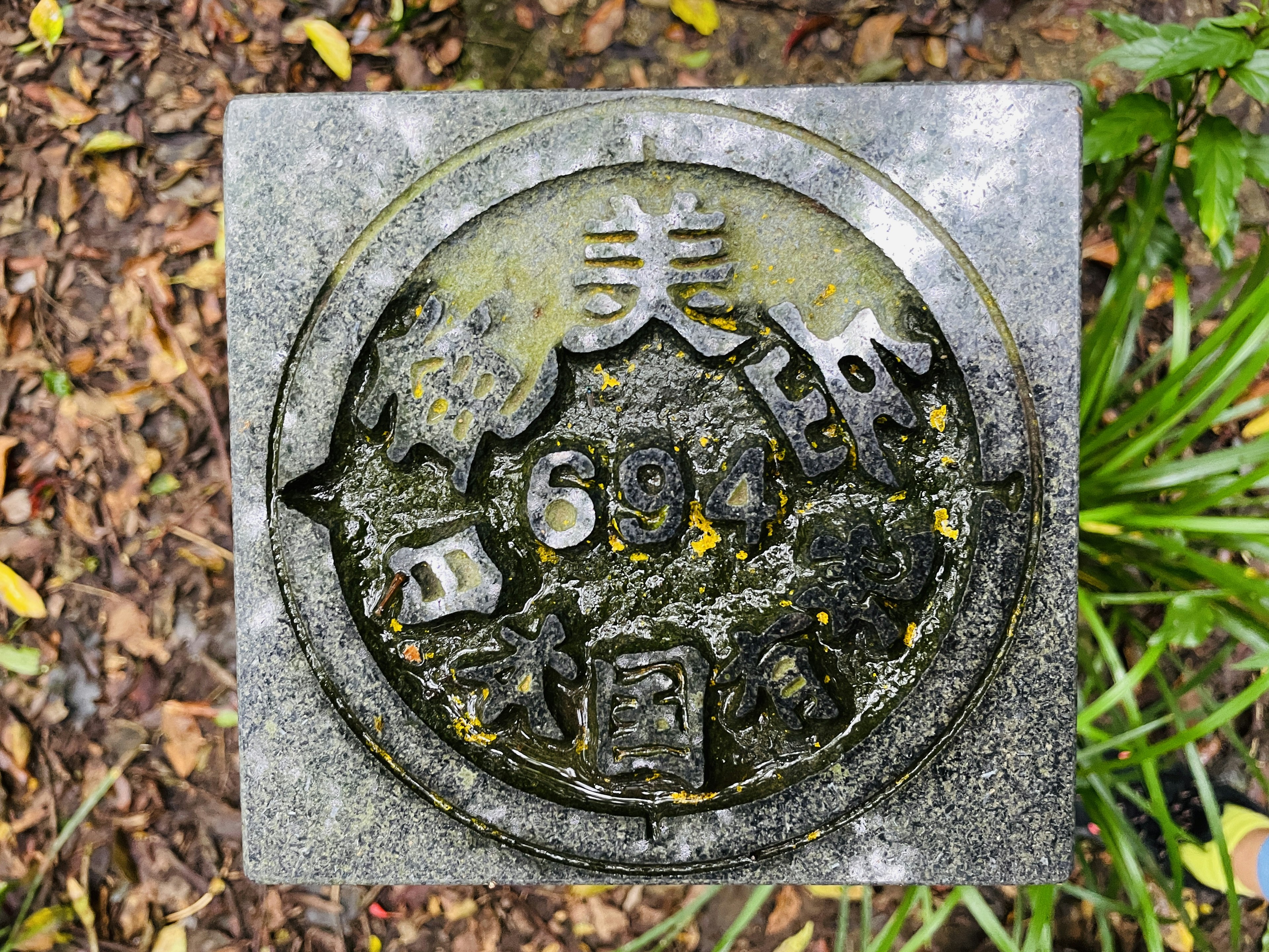 Placa de piedra grabada con caracteres y patrones rodeada de vegetación